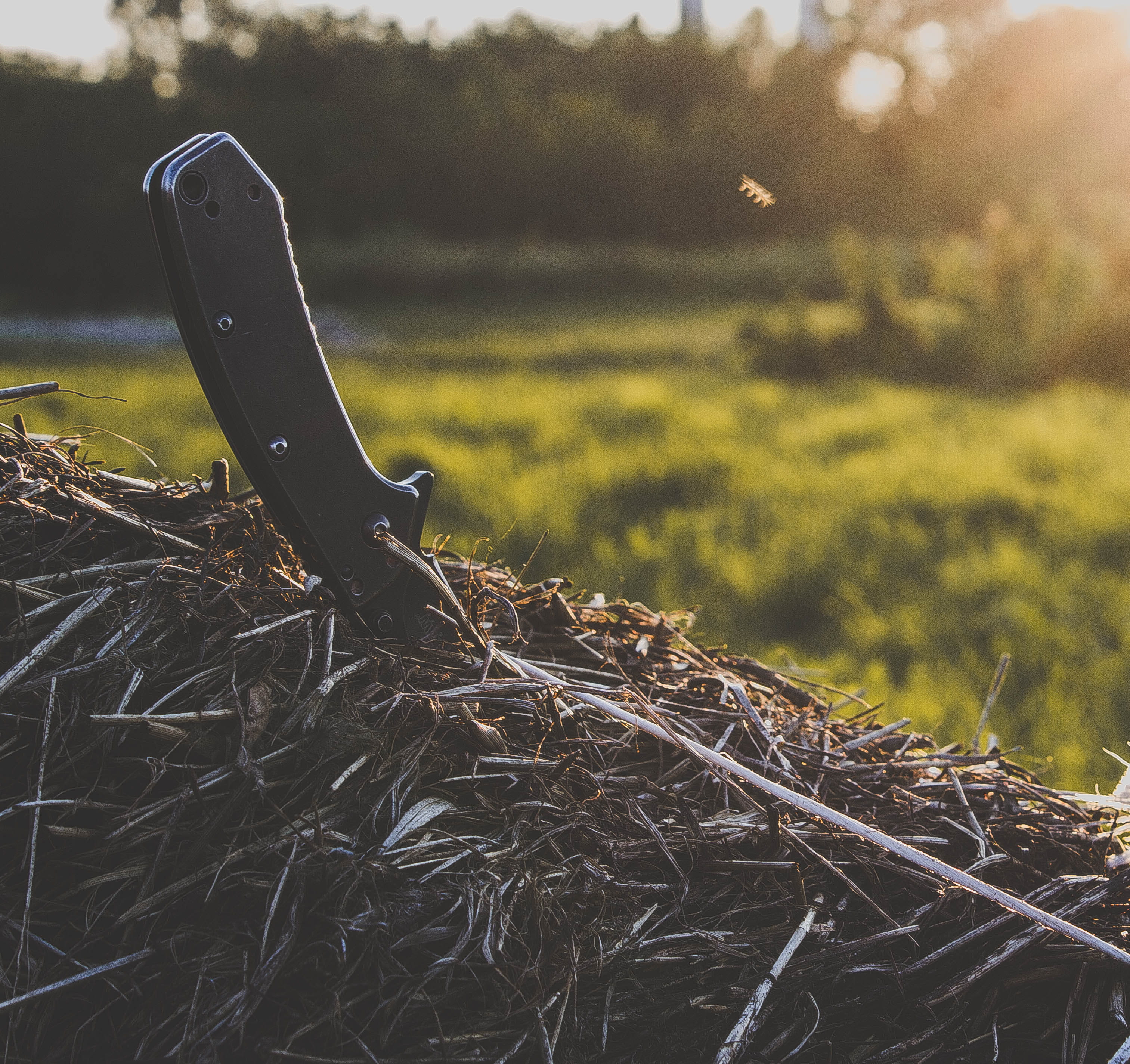 technology, connection, knife, excalibur, focus on foreground, tree, security, field, close-up, land, mud, canon, edge, nature, growth, sunlight, sunset, HD Wallpaper