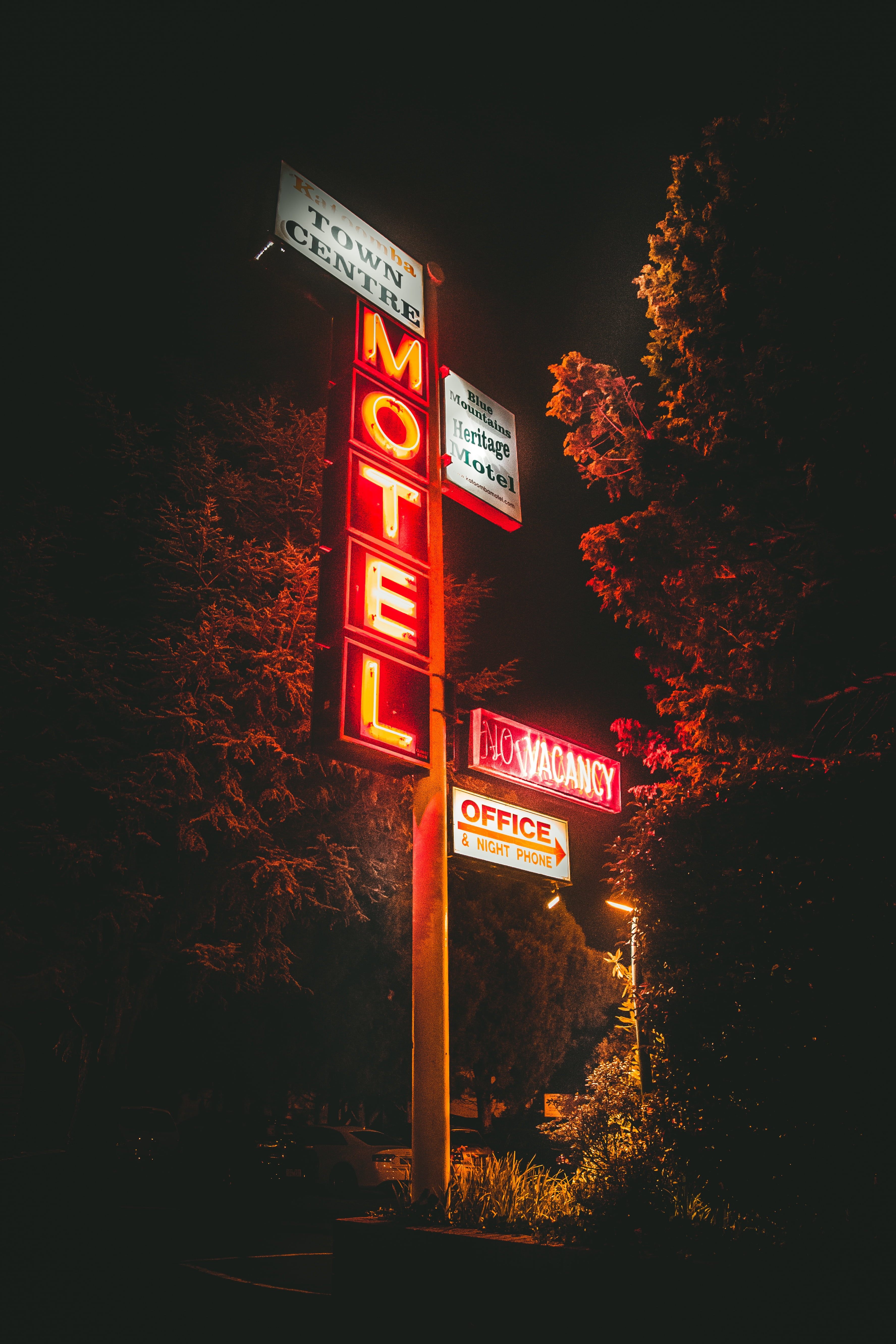 western script, arrow symbol, nighttime, lights, trees, street, communication, tree, text, plants, nightlife, lighted, guidance, sign, no people, 5K, post, Phone HD Wallpaper