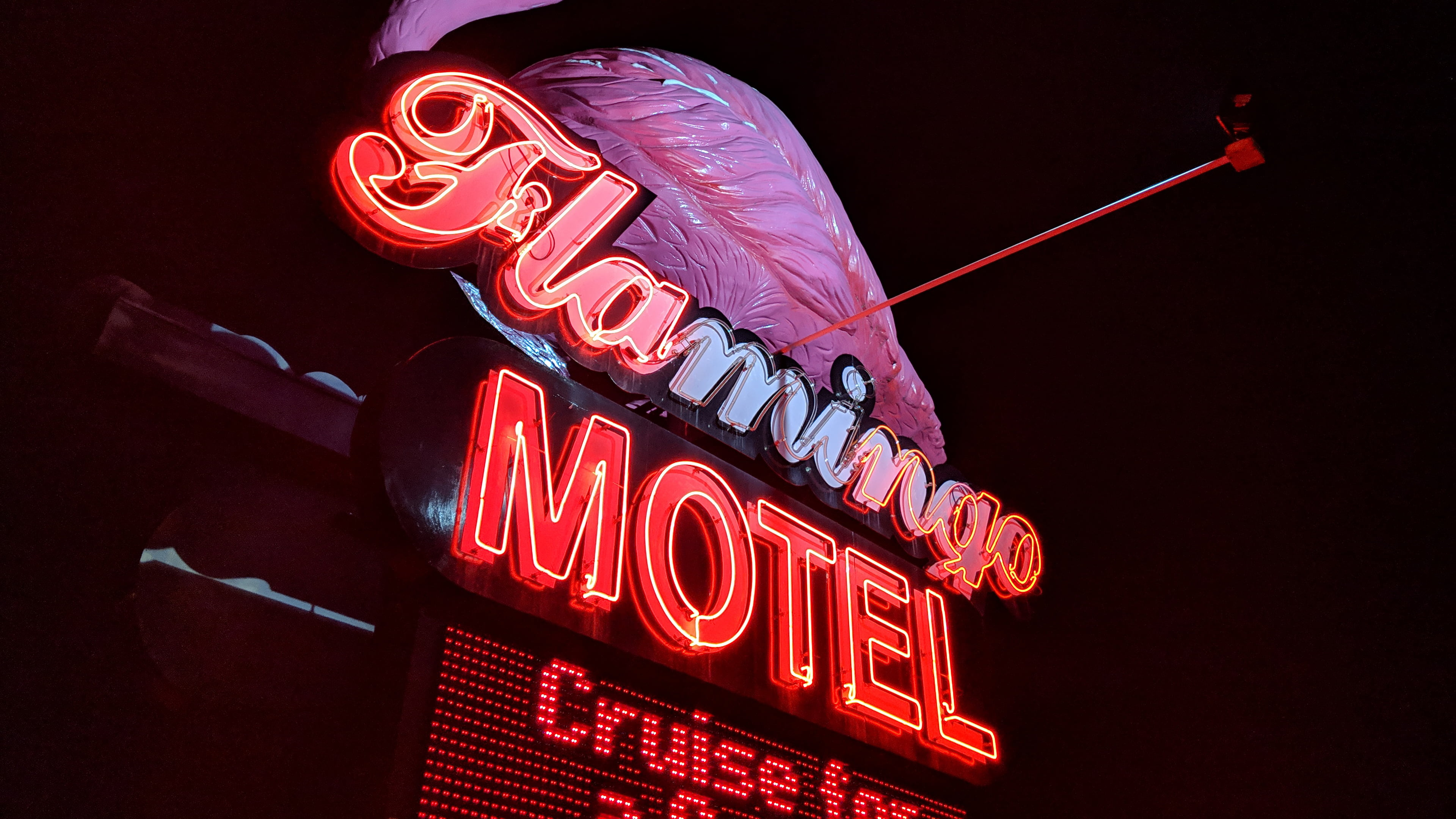 neon, motel, flamingos, sign, 4K, neon glow, neon sign, HD Wallpaper