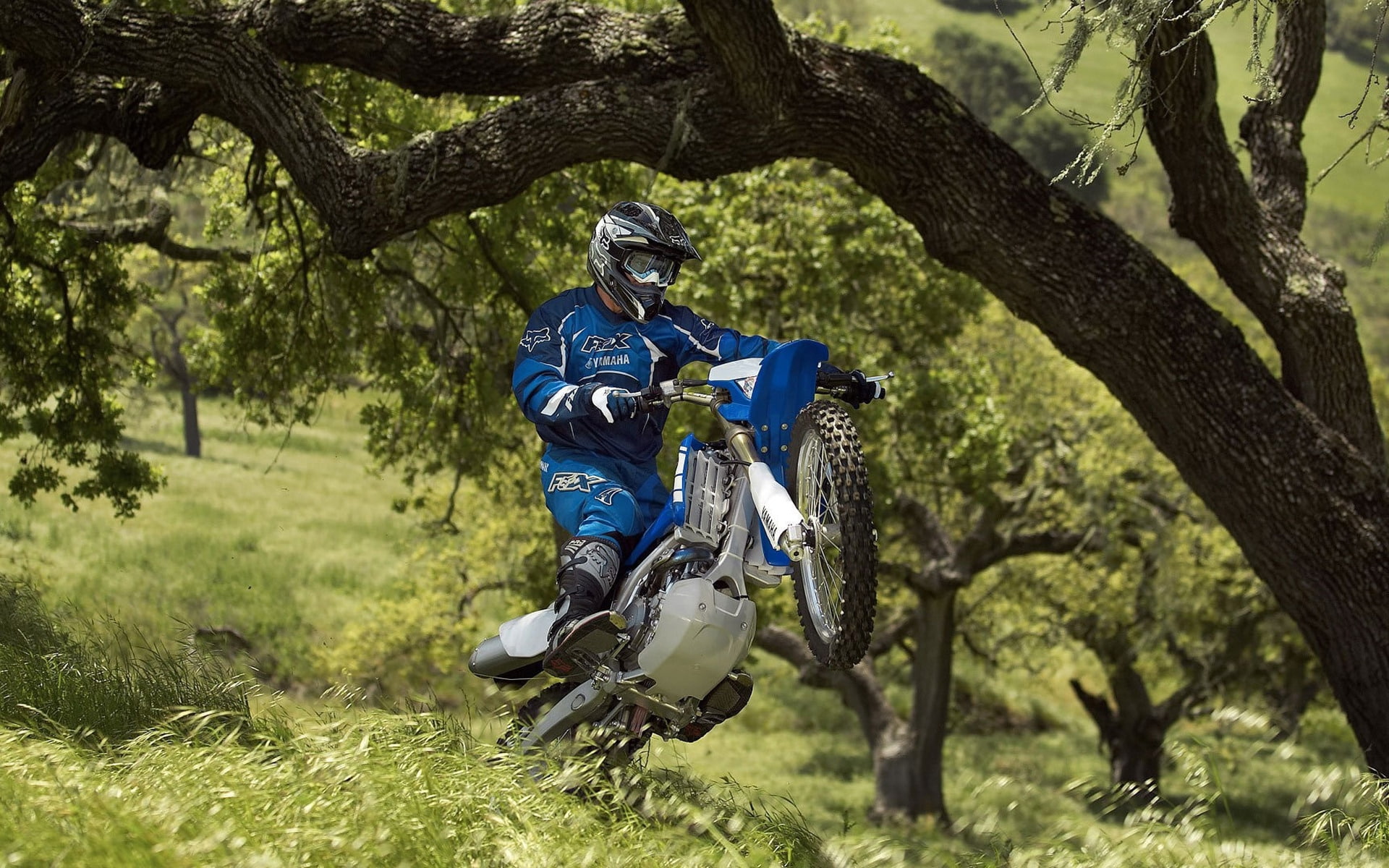 yamaha, bike, cross, grass, biker, 1080P, woods, HD Wallpaper