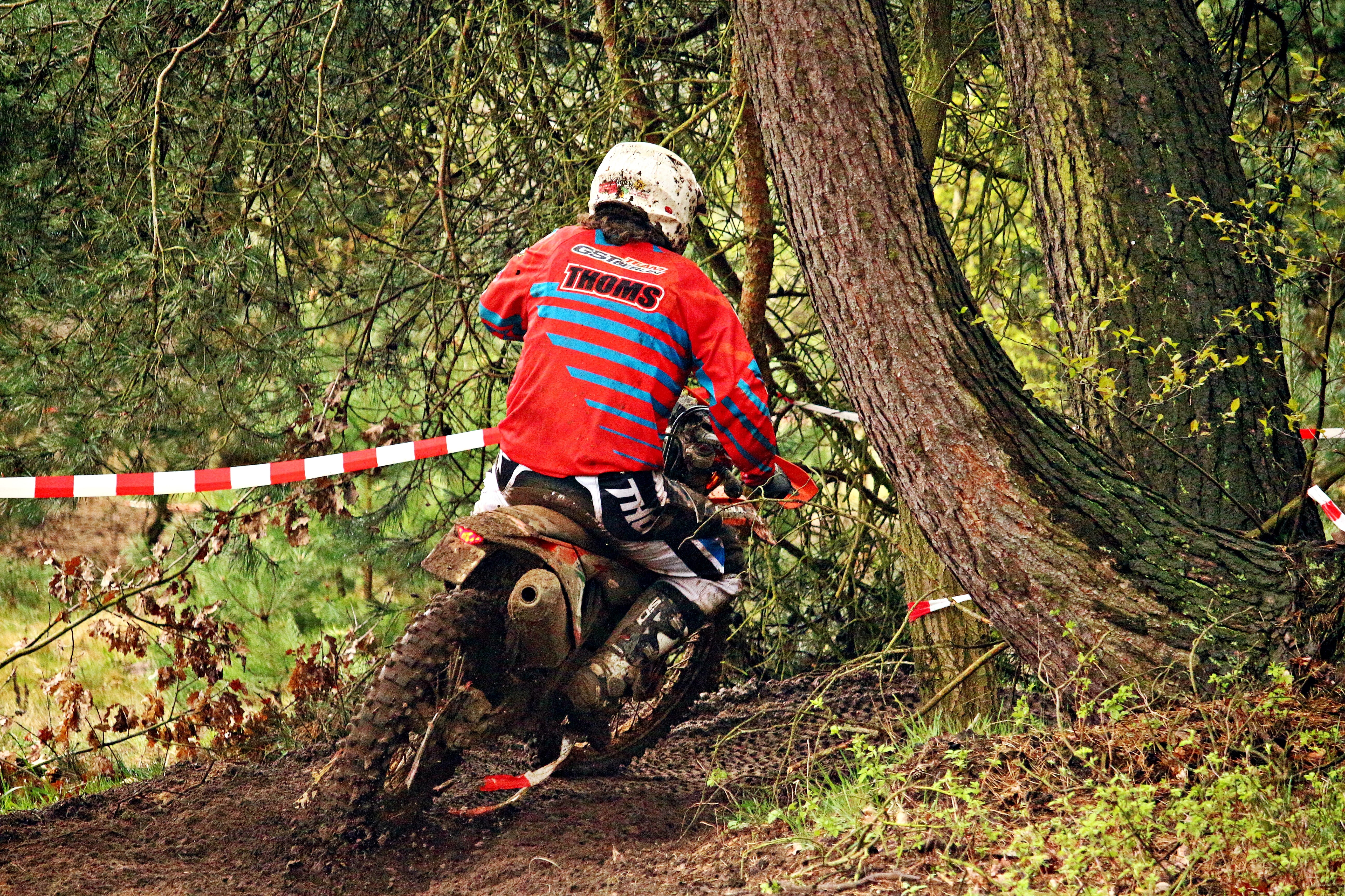 mammal, motorcycle, forest, day, rear view, nature, outdoors, motocross, riding, ride, plant, leisure activity, motocross ride, growth, motorsport, men, HD Wallpaper