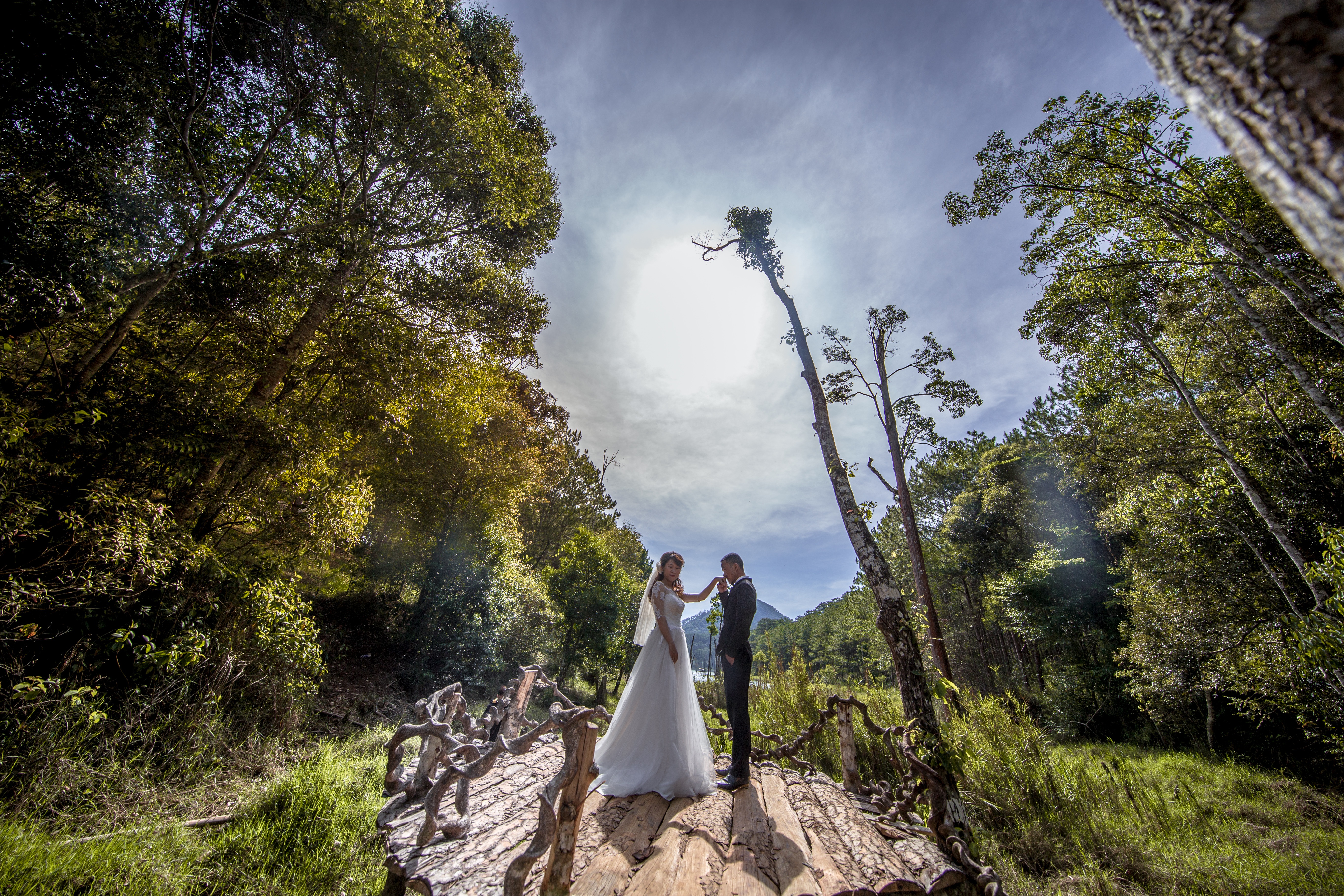 positive emotion, outdoors, bride, da lat, full length, women, event, standing, season, sky, plant, fashion, celebration, tree, wedding, nature, couple - relationship, HD Wallpaper