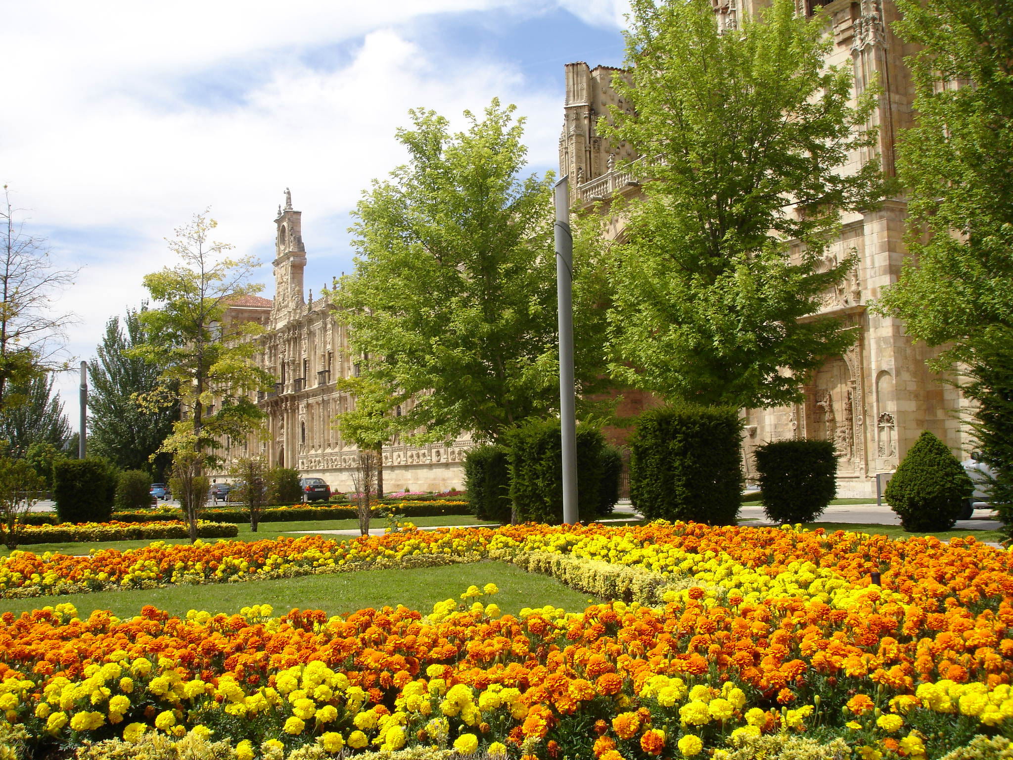 san, europe, church, beauty in nature, nature, flowerbed, flower head, yellow, famous Place, building exterior, tree, plaza de san marcos, built structure, HD Wallpaper