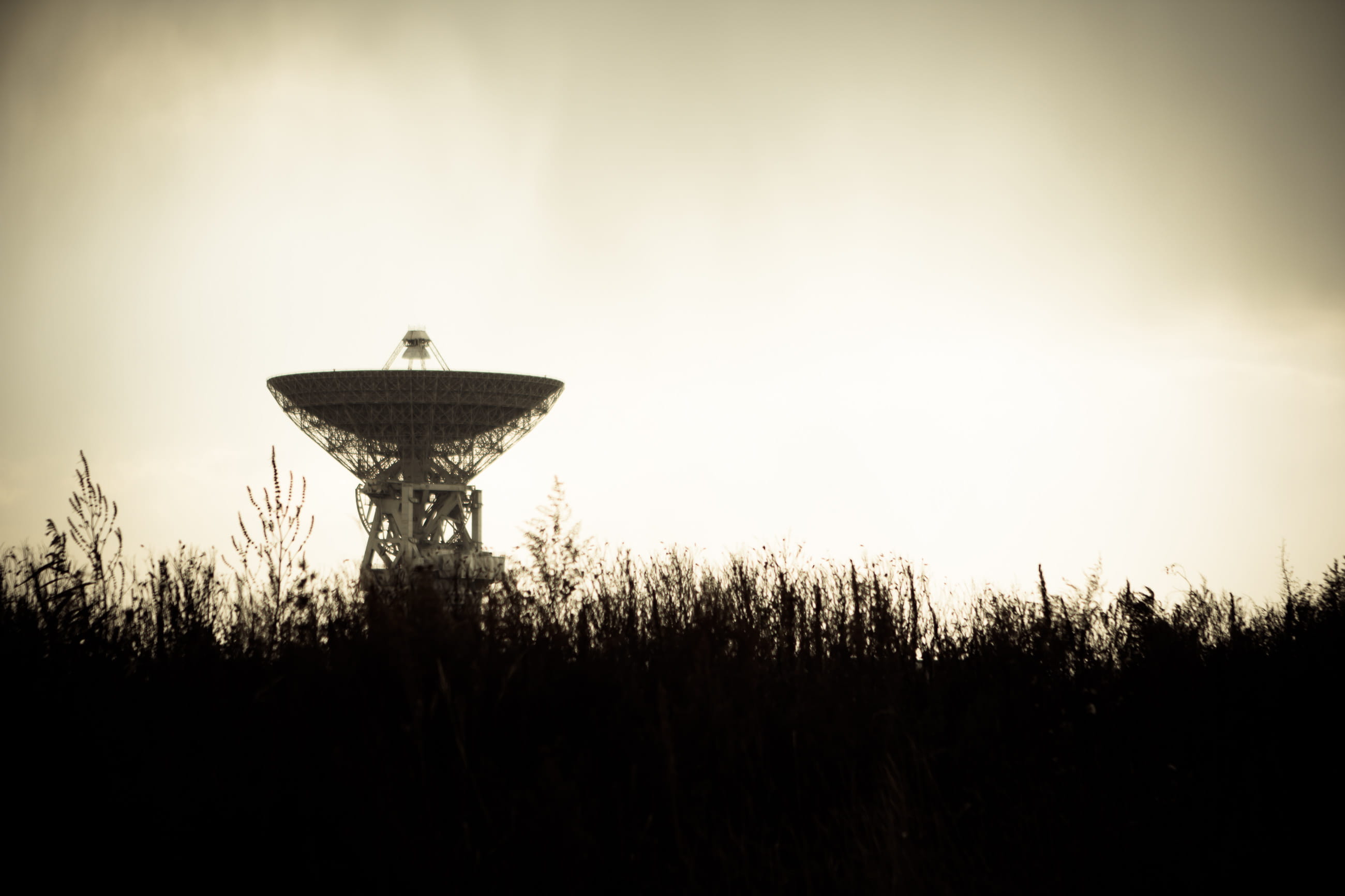 built structure, 2K, plant, field, satellite, sky, grayscale, communication, telecommunications Equipment, technology, nature, electric lamp, communications Tower, HD Wallpaper