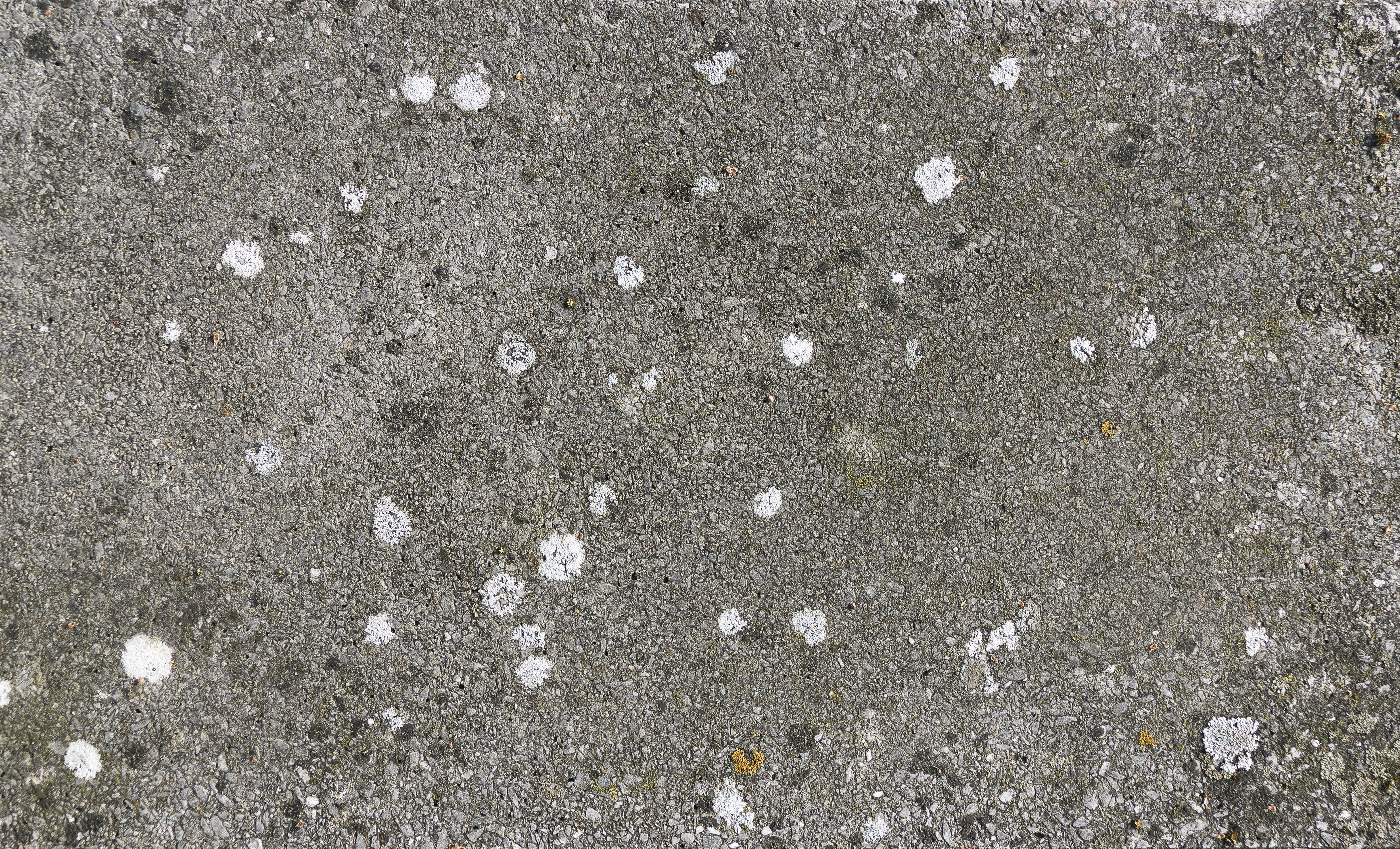 full frame, fair faced concrete, no people, outdoors, weave, plant, 5K, area, tranquility, gray, backgrounds, precast concrete, concrete, wall - building feature, HD Wallpaper