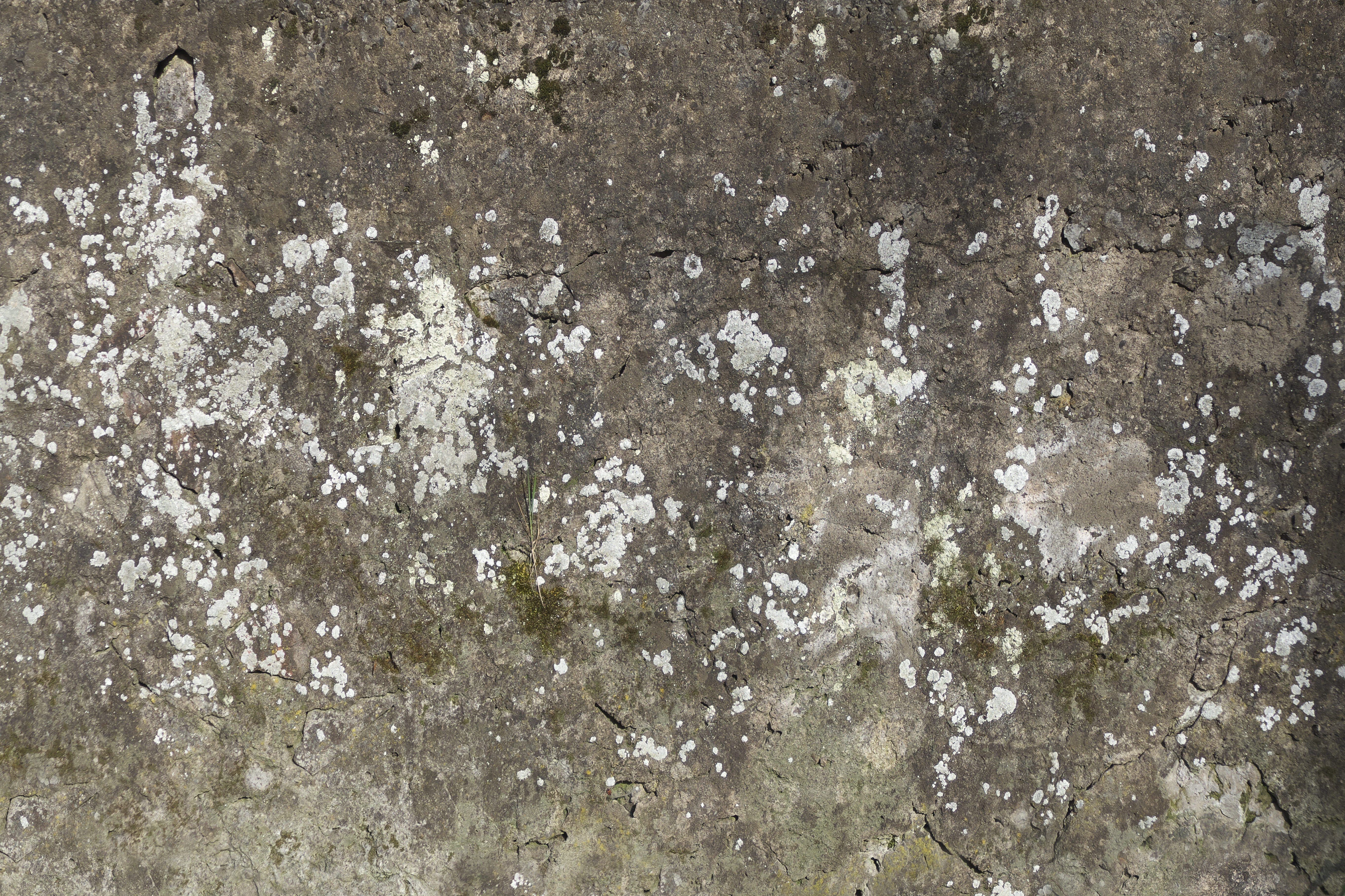 weathered, close-up, fouling, spotty, abstract, architecture, high angle view, white color, masonry, structure, no people, solid, dirty, regulation, 5K, HD Wallpaper