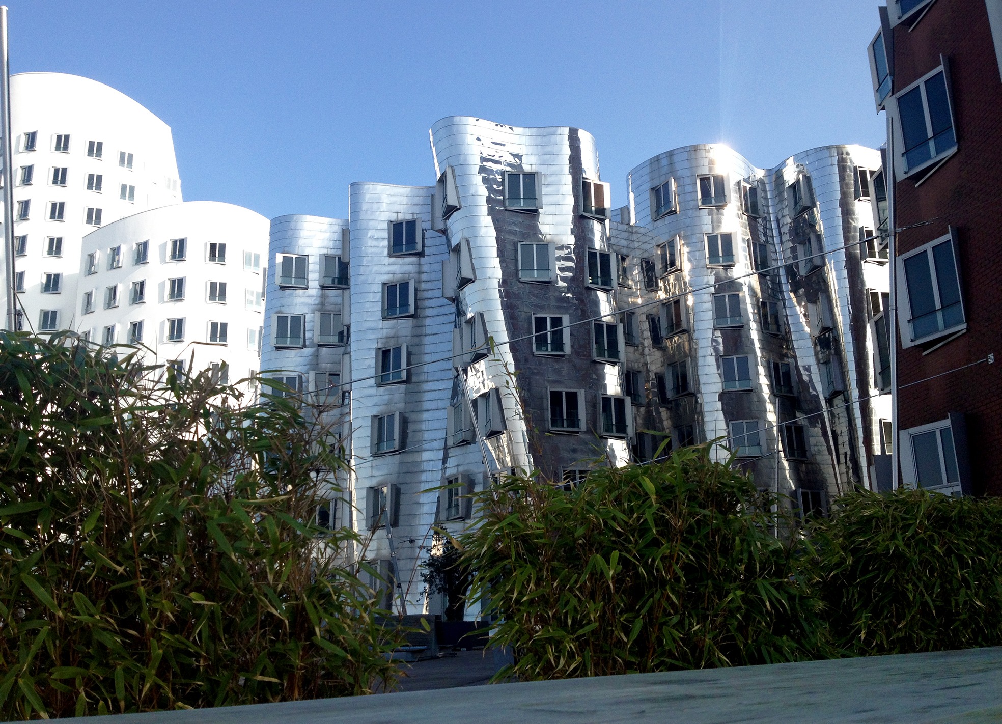 düsseldorf, tree, facade, 1080P, sunlight, germany, built structure, skyscraper, sky, outdoors, frank gehry, apartment, plant, modern, building exterior, HD Wallpaper
