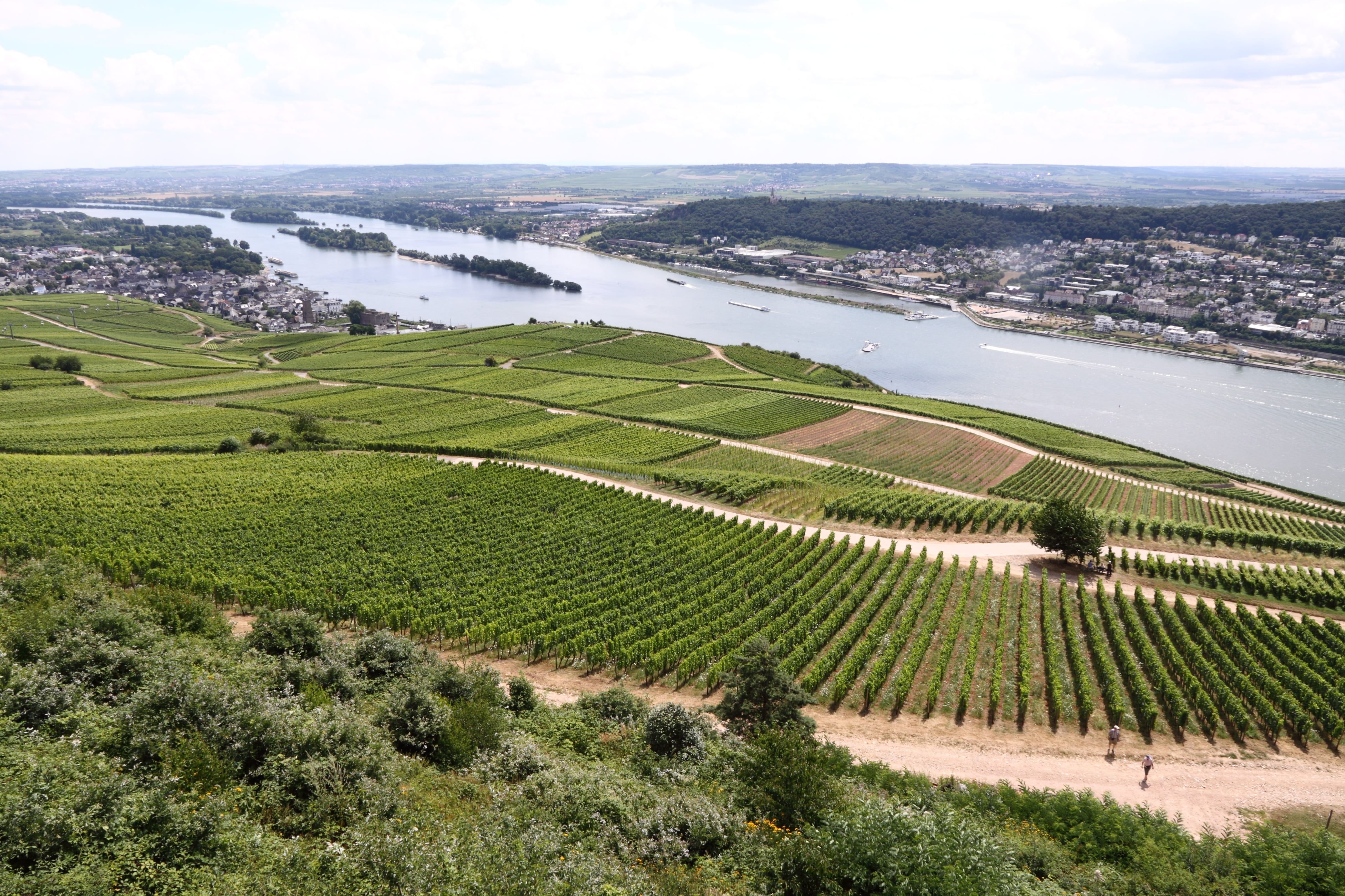plant, green color, rhine, built structure, 4K, day, land, sky, tranquil scene, nature, scenics - nature, growth, landscape, environment, high angle view, HD Wallpaper