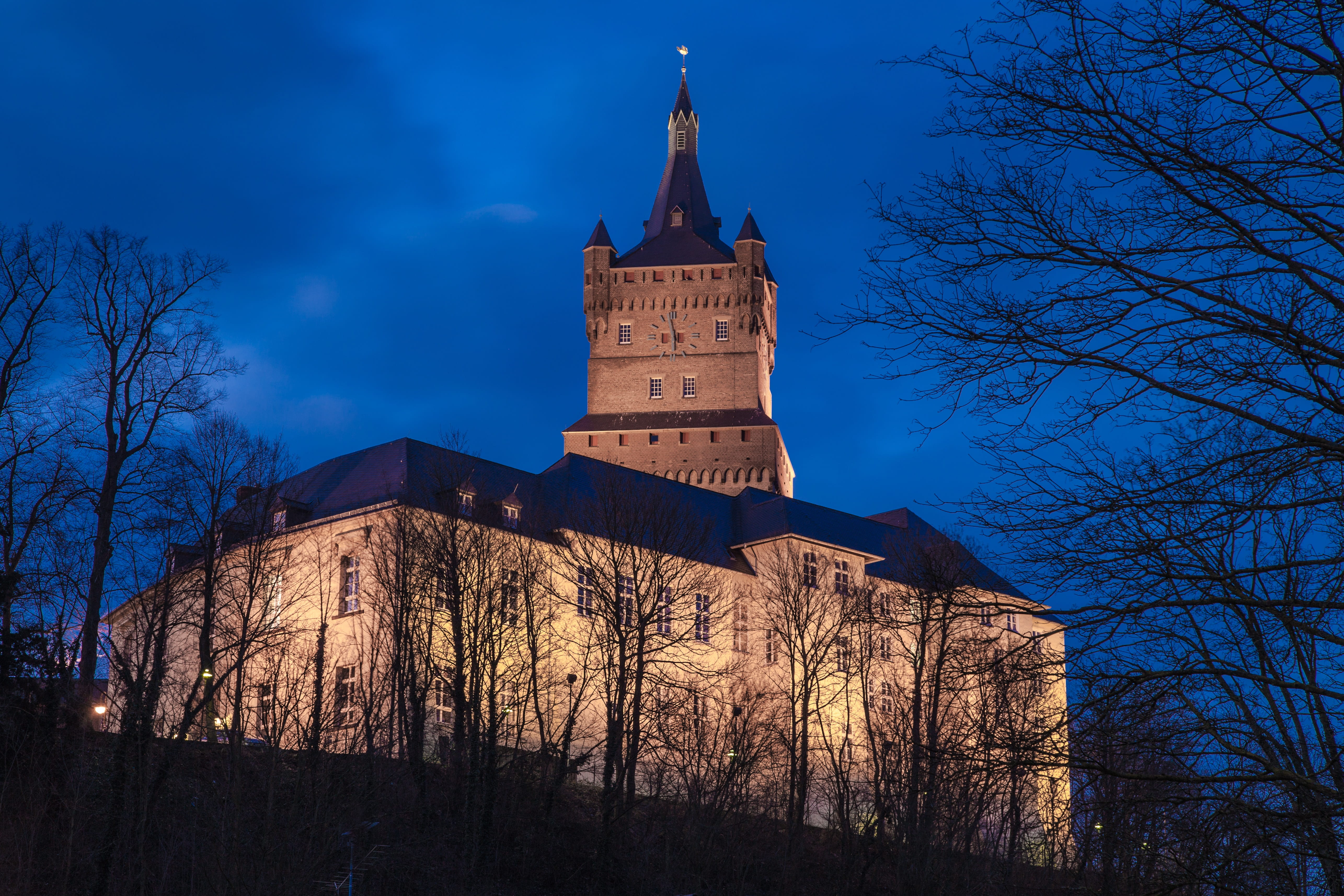 city, building exterior, building, historically, clock, swan tower, noble, blue hour, 5K, art, swan knight, swan, places of interest, bare tree, nature, HD Wallpaper