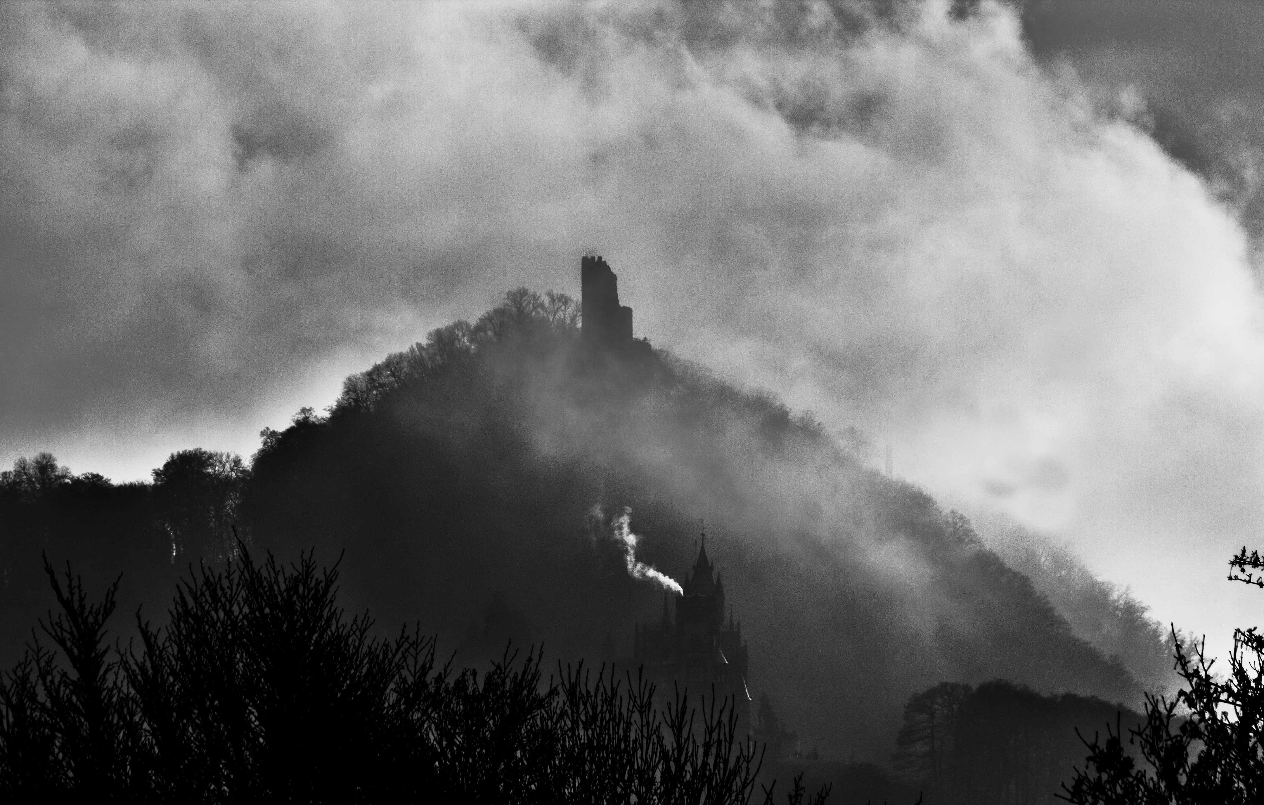 plant, non-urban scene, day, environment, bonn, no people, bad honnef germany, tranquility, tower, sky, rhine, architecture, outdoors, silhouette, fog, HD Wallpaper