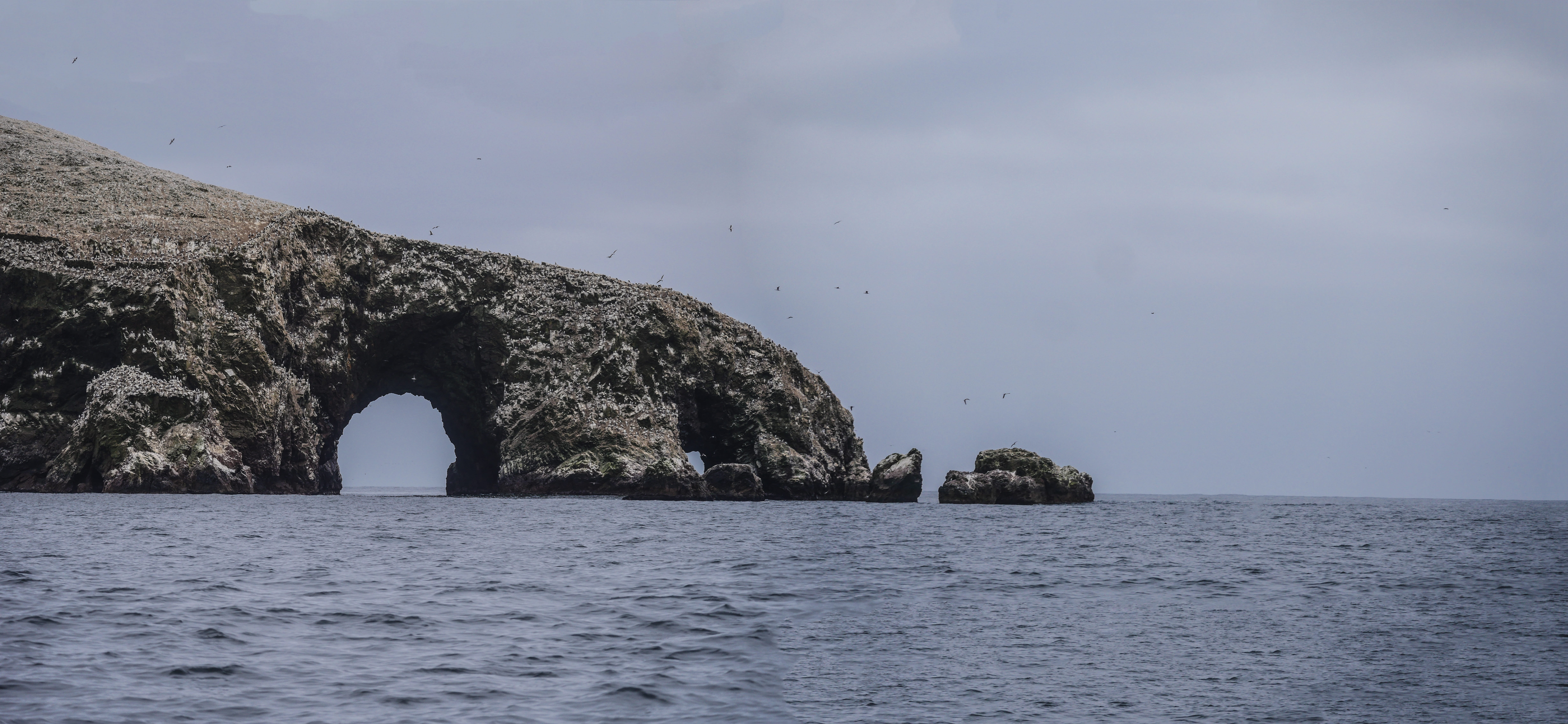 goal, waterfront, sea, felsentor, island, natural arch, pacific, guano boobies, scenics - nature, nature, water, pelikan, arch, islas ballestas, rock, seevogel, HD Wallpaper
