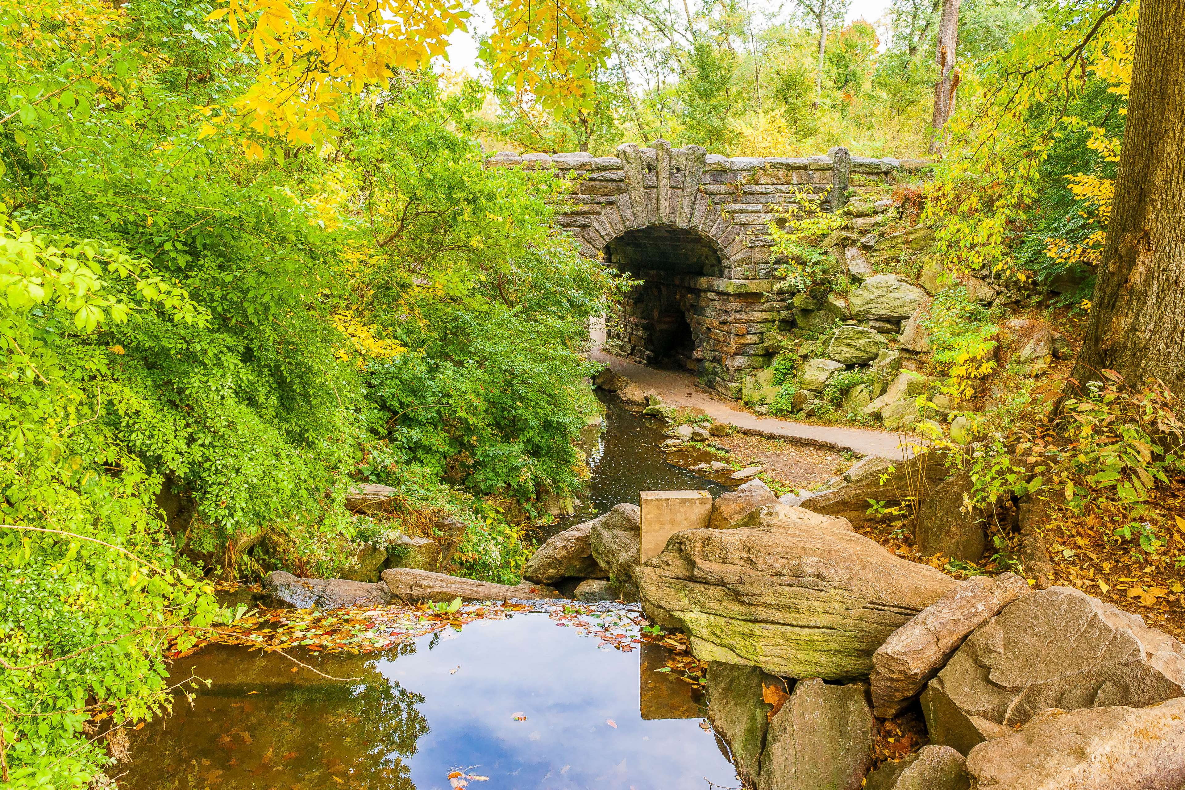 stream - flowing water, flowing water, lake, central park, no people, bridge, water, outdoors, glen span arch, scenics - nature, change, plant, beauty in nature, HD Wallpaper