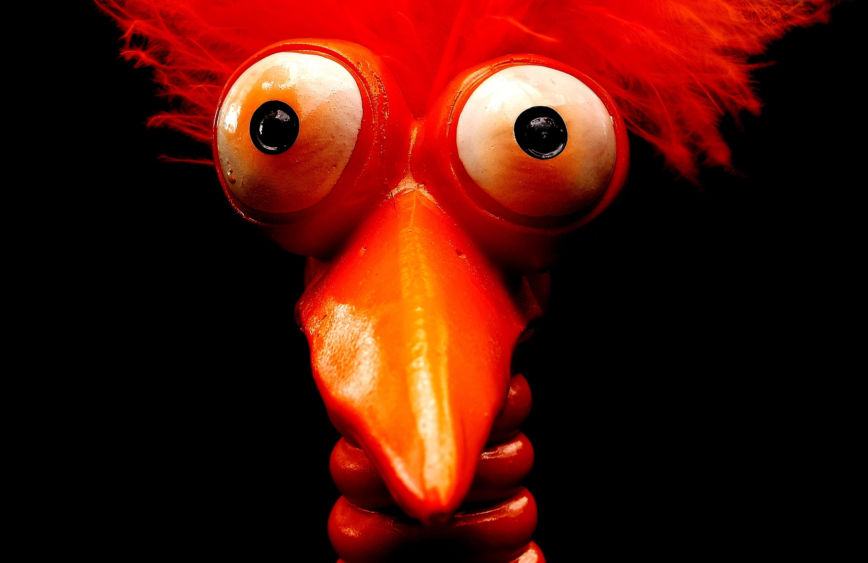 figure, studio shot, weird bird, human face, decoration, indoors, red, spooky, deco, evil, close-up, body part, representation, cute, joker, eye, human body part, HD Wallpaper