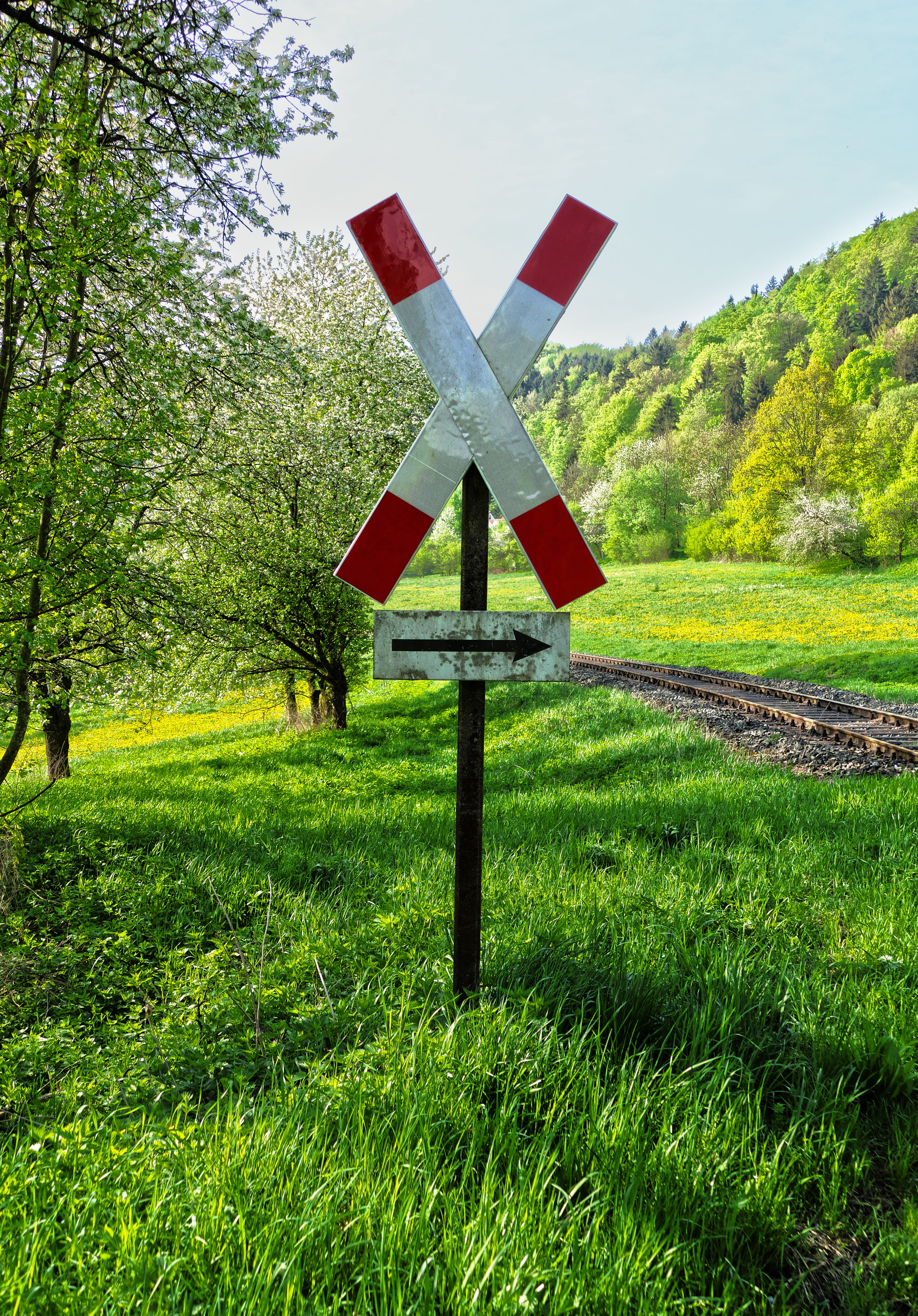 guidance, trees, old sign, environment, traffic sign, warning, 5K, meadow, andreaskreuz, land, dirty, trail, green color, cross shape, road sign, communication, Phone HD Wallpaper