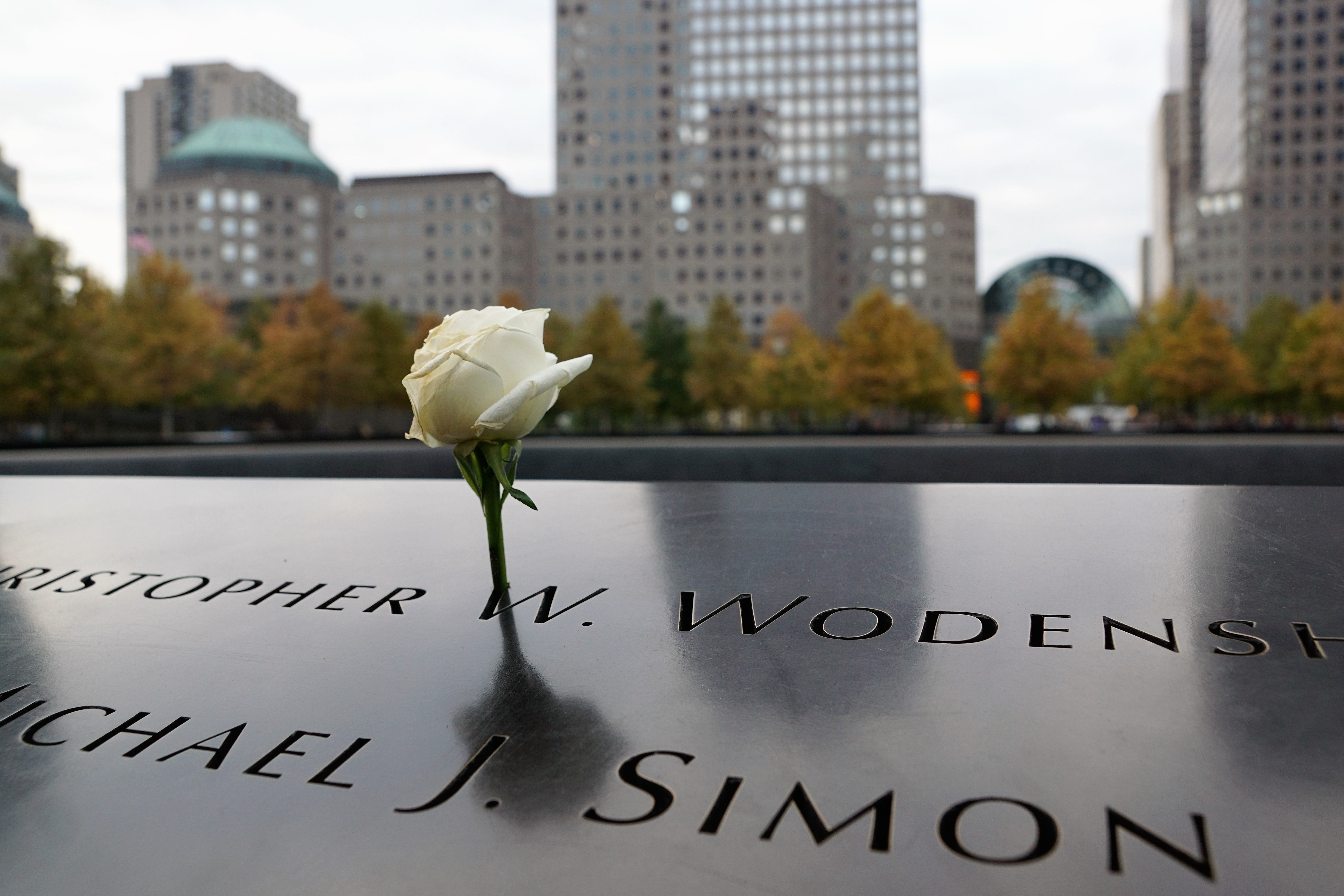 city, close-up, one world trade center, memorial, focus on foreground, beauty in nature, petal, skyscraper, usa, text, new york, flowering plant, building, HD Wallpaper