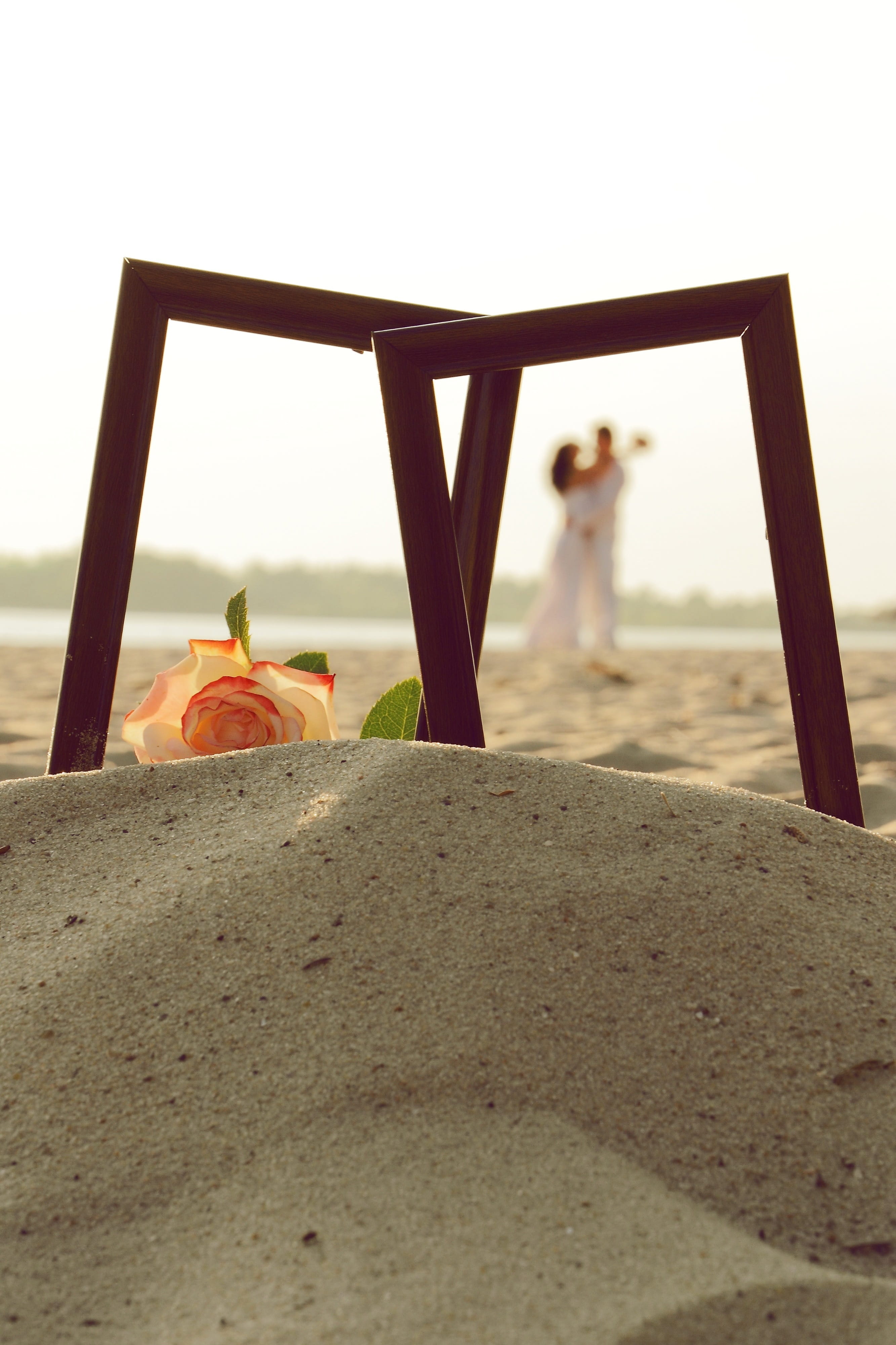rose, day, sea, sky, design, happy, couple, beach, land, newlywed, 4K, couple - relationship, focus on foreground, outdoors, gift, incidental people, lifestyles, Phone HD Wallpaper