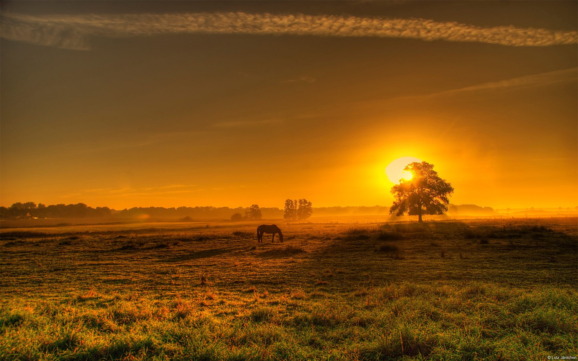 evening, sun, summer, landscape, outdoors, 1080P, morning, gold Colored, yellow, tranquility, scenics, grass, sky, light - Natural Phenomenon, silhouette, HD Wallpaper