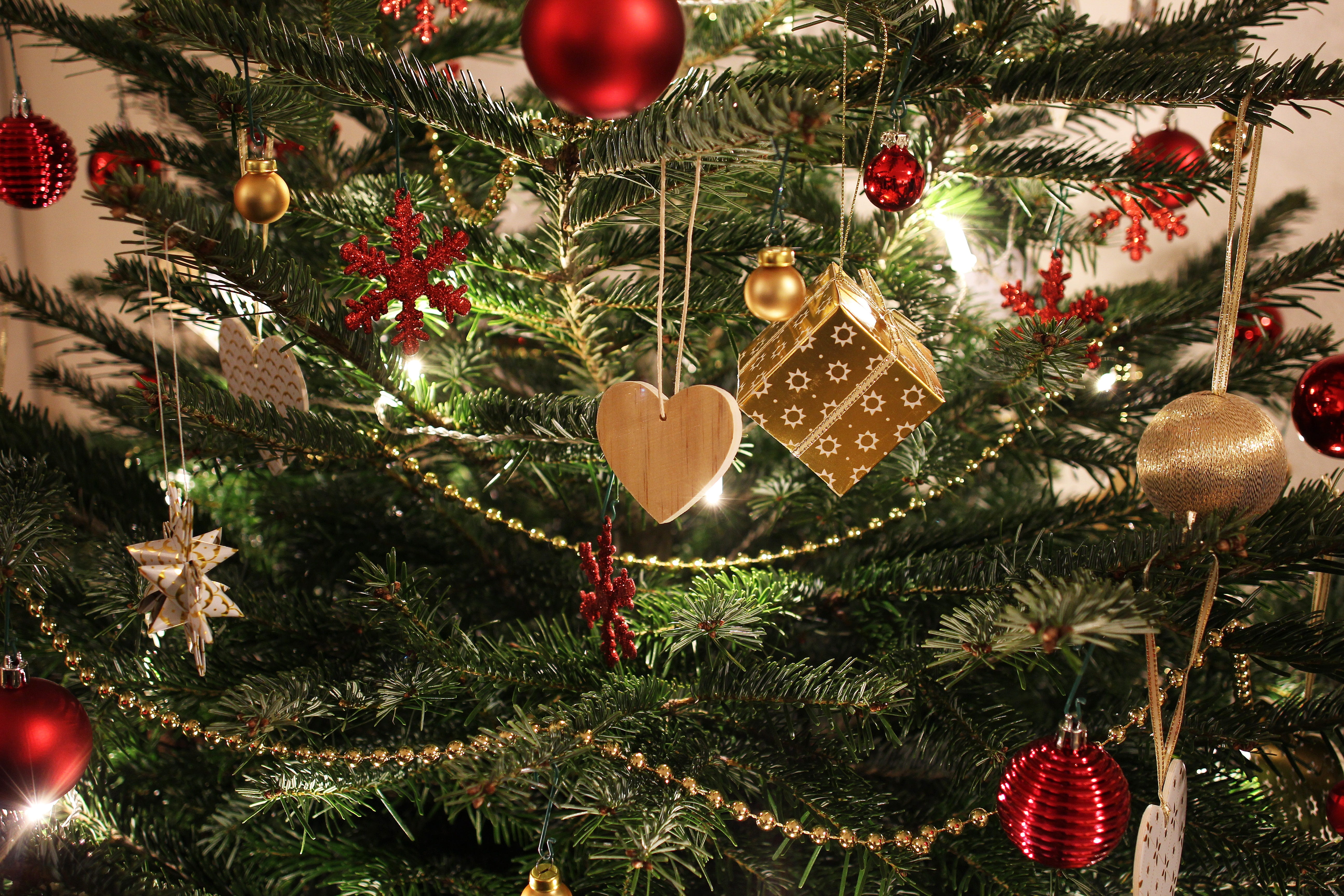 indoors, christmas tree, coniferous tree, red, tree decorations, ball, christmas decoration, hanging, advent, plant, weihnachtsbaumschmuck, golden, close-up, HD Wallpaper
