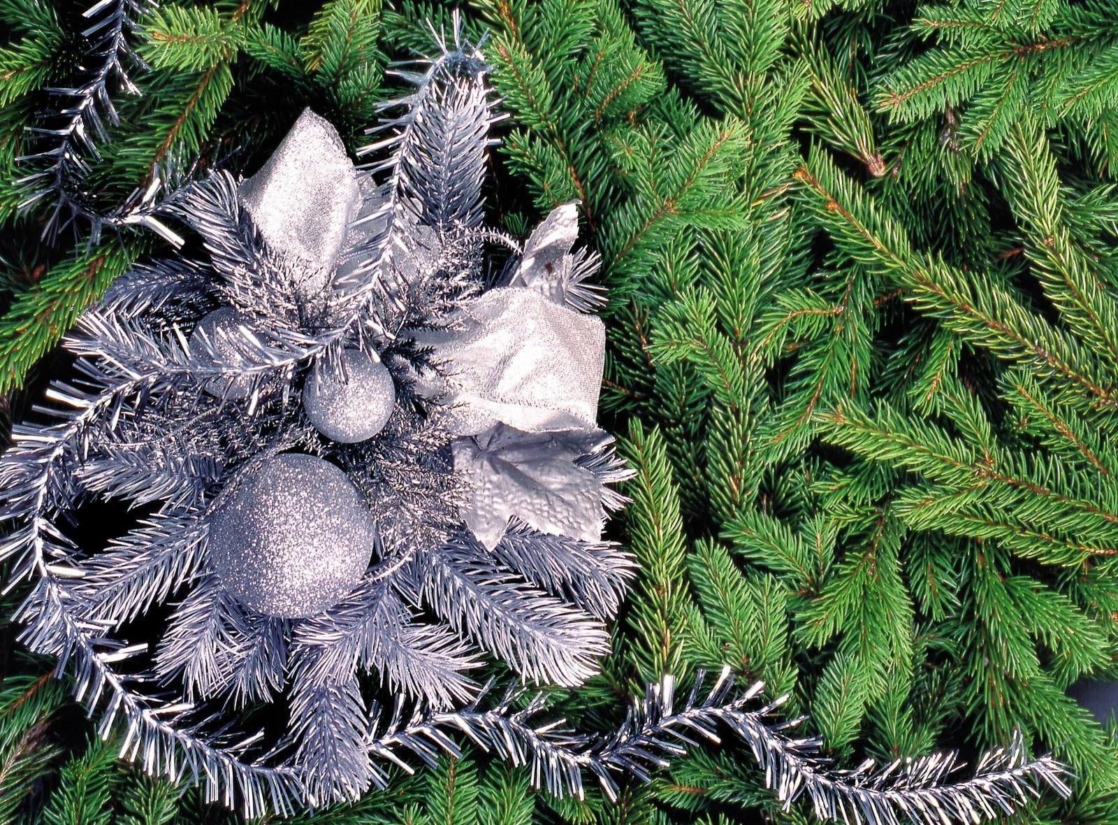 720P, field, backgrounds, tinsel, pine tree, no people, leaf, pine cone, coniferous tree, pattern, holiday, high angle view, full frame, needles, outdoors, HD Wallpaper