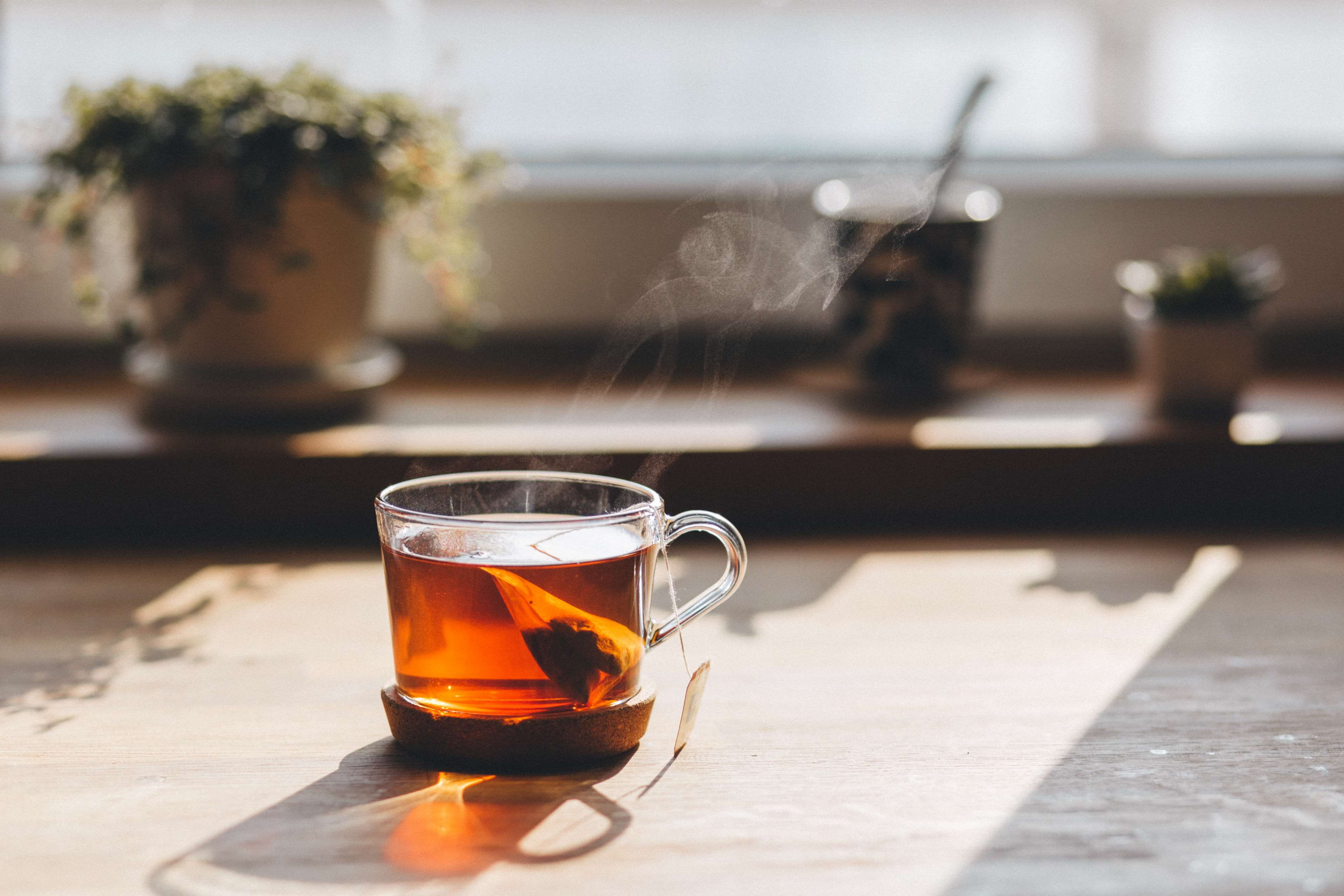focus on foreground, black tea, pots, plant, hot, cup, drink, selective focus, drinking glass, sunlight, crockery, teacup, tea cup, household equipment, HD Wallpaper