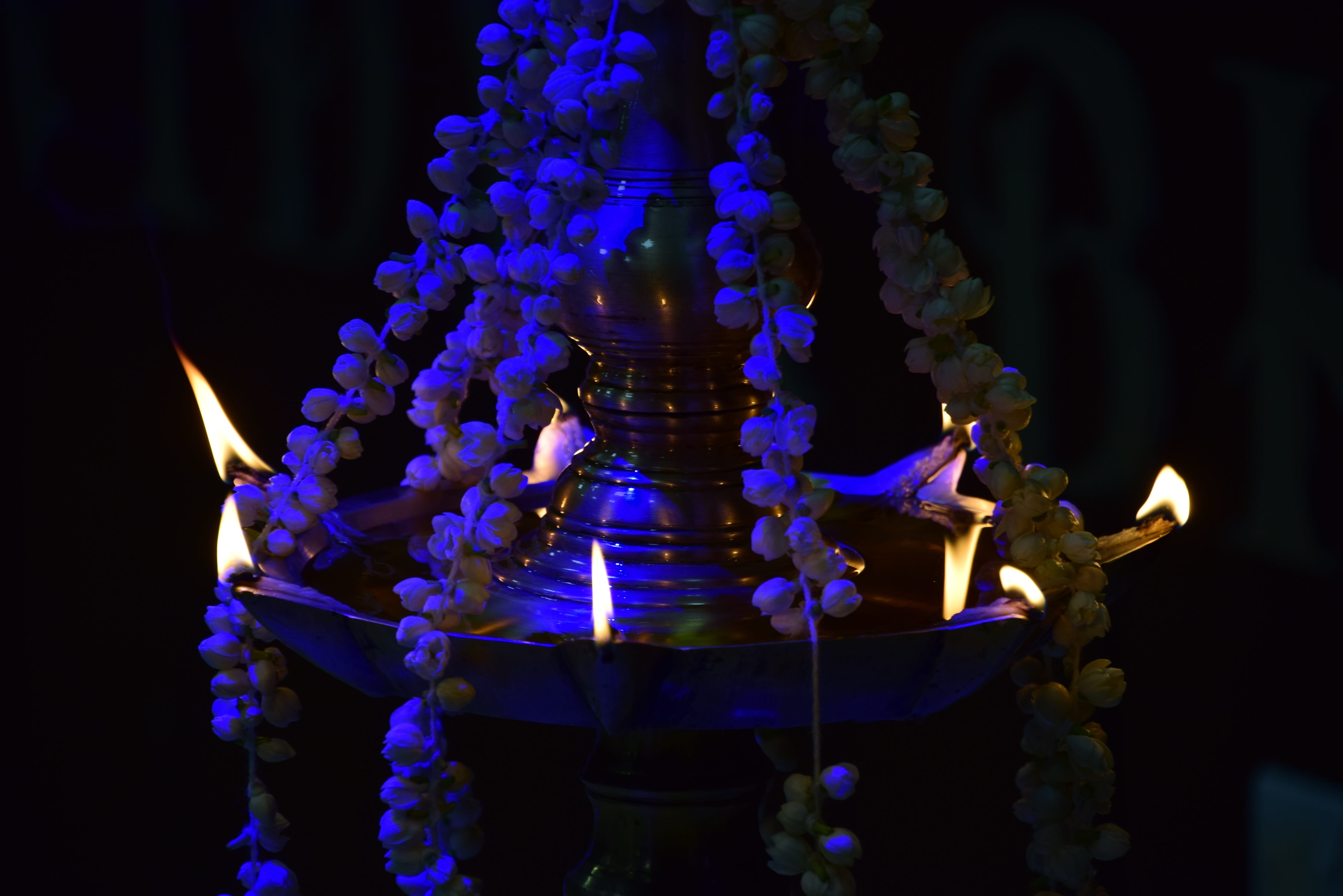 flower, illuminated, night, spirituality, burning, lamp, traditional, architecture, lighting equipment, incense, black background, festival, candle, place of worship, HD Wallpaper