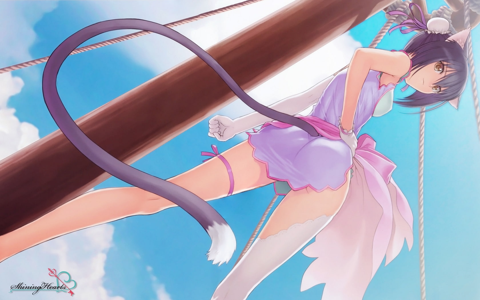 cats, ears, Tony Taka, hearts, series, shaomei, rin, shining, taka, hd, tony, 720P, animal, animals, nekomimi, art, x, HD Wallpaper