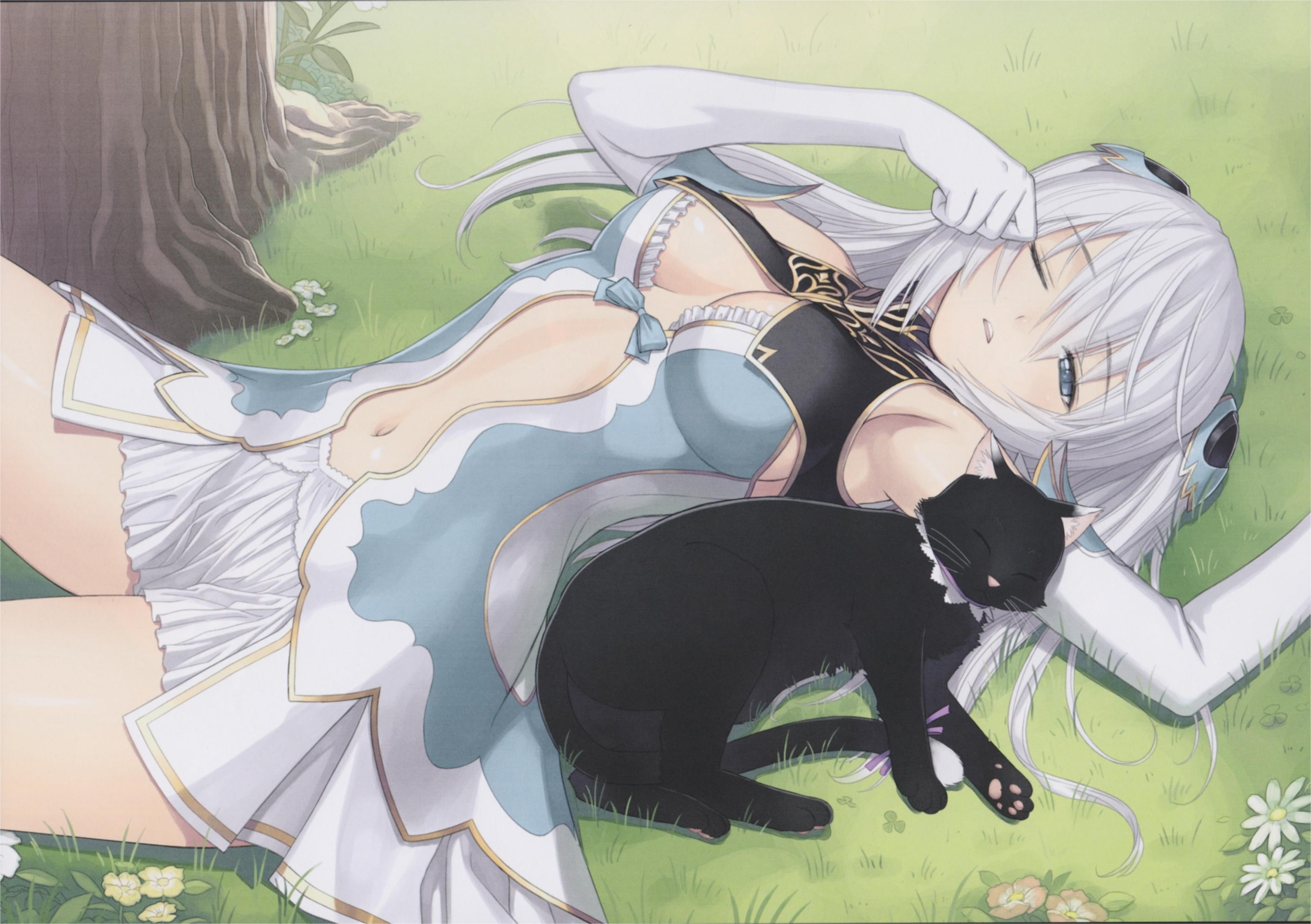 white, 2K, long-hair, pretty, neko, game, shining, tony-taka, girl, sleep, anime, altina, HD Wallpaper