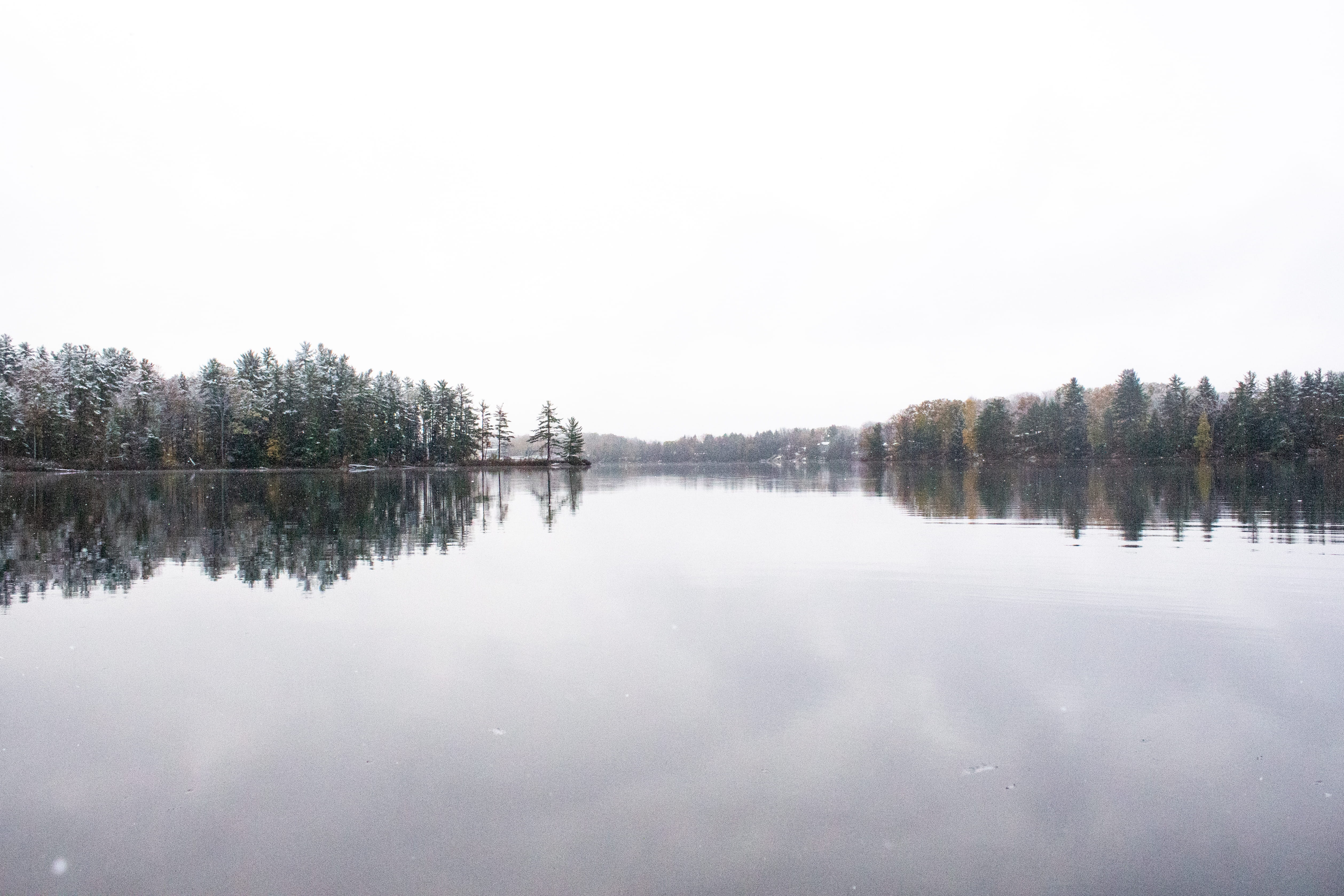 nature, 4K, tree, water, idyllic, no people, reflection lake, day, plant, waterfront, scenics - nature, reflection, torrance, canada, tranquil scene, beauty in nature, HD Wallpaper