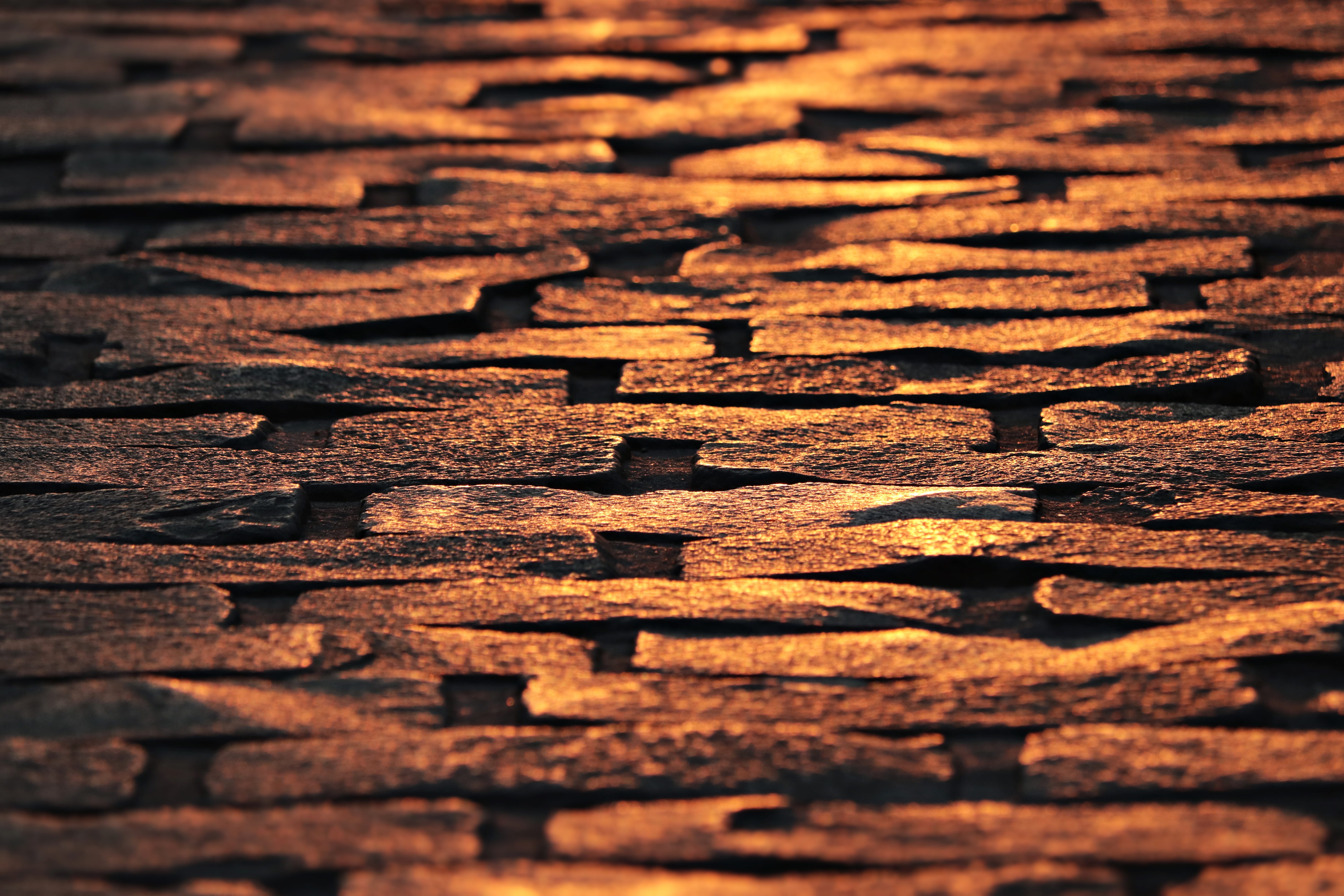 old, sparkle, paving stones, sunset, log, surface, tree, 5K, ground, patch, stack, abundance, firewood, cobblestones, paved, timber, wood, textured effect, HD Wallpaper