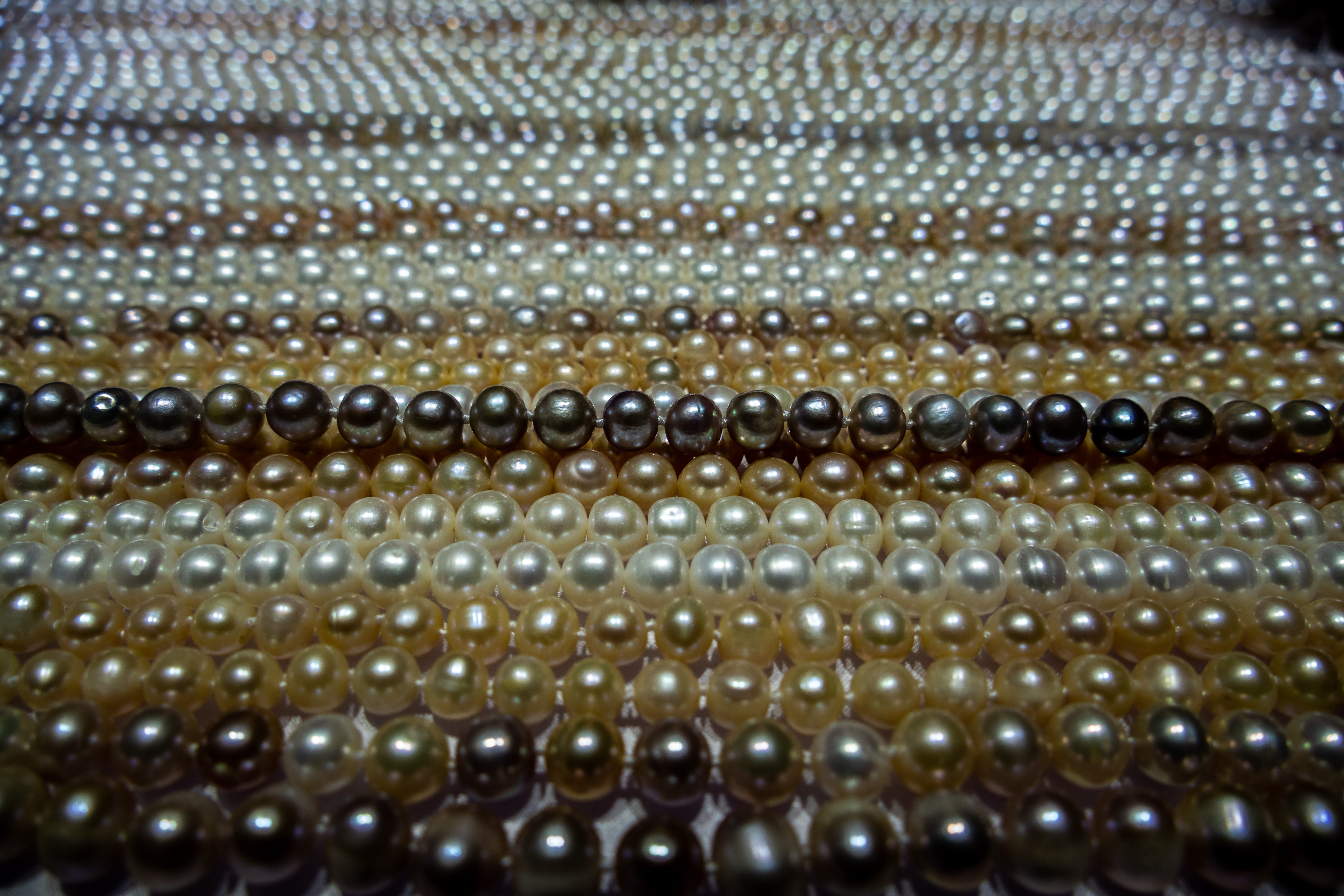 5K, luxury, ornate, treasure, large group of objects, fashion, no people, shape, gem, silver colored, shiny, jewelry, gemstone, animal themes, pearl jewelry, HD Wallpaper