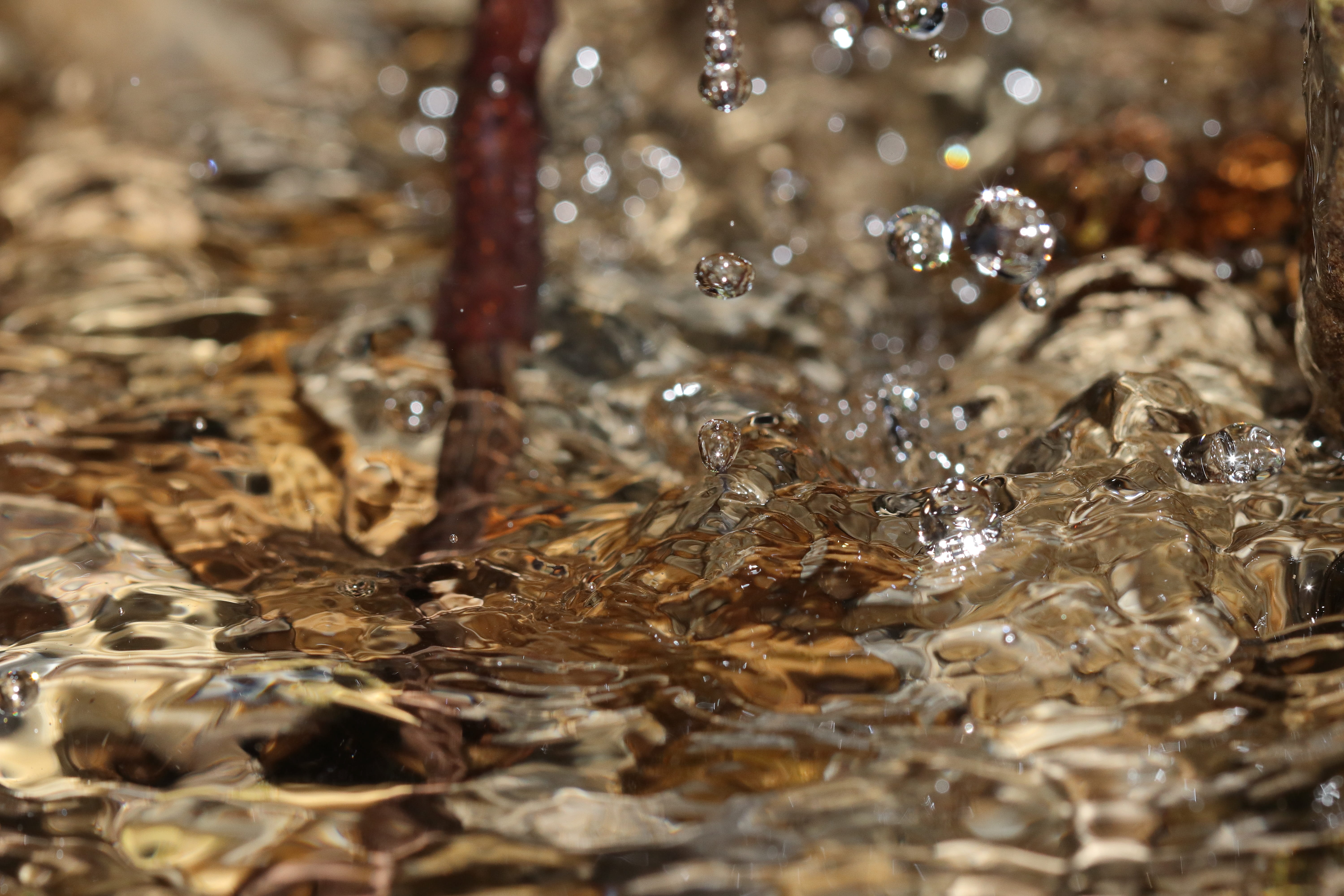 wave, water, liquid, fresh, transparent, purity, wet, reflection, close-up, splashing, branch, day, full frame, backgrounds, flowing water, sparkling, rippled, HD Wallpaper