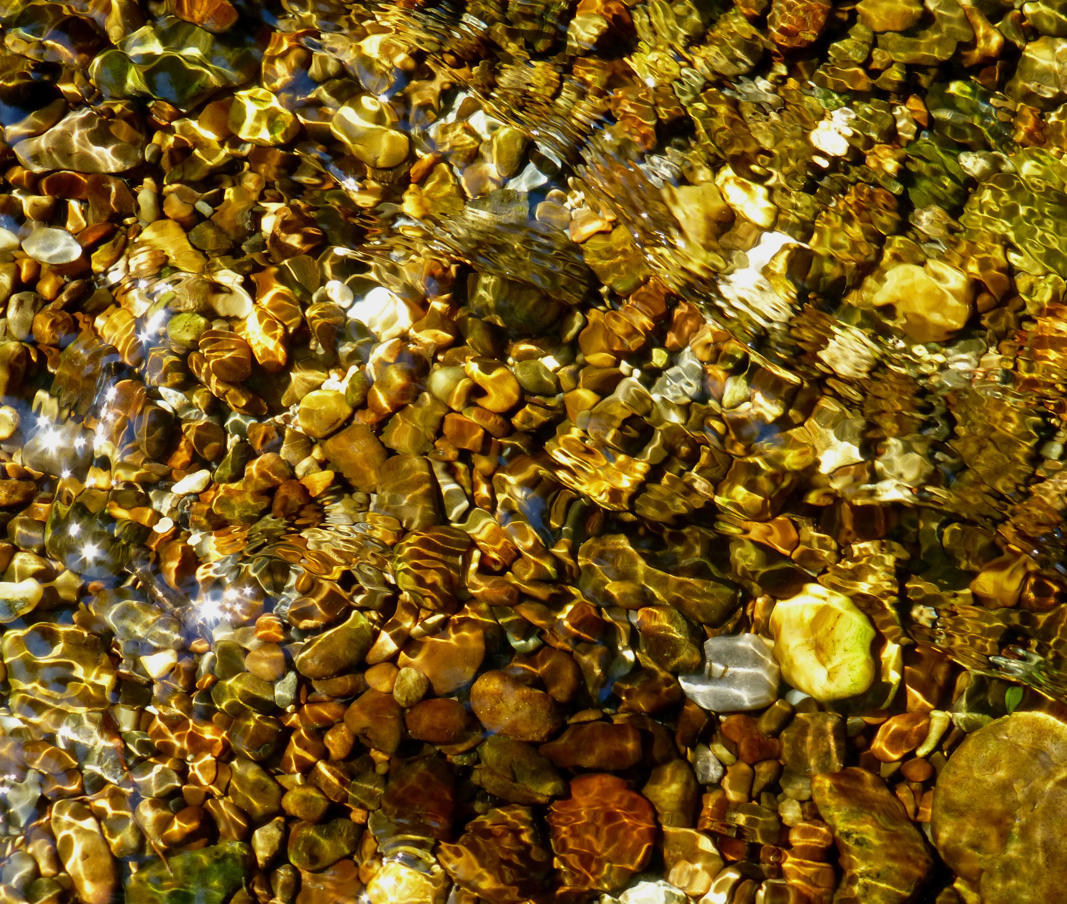 full frame, invertebrate, animal, 2K, no people, animal themes, nature, colorful stone, large group of animals, sunbeam, honeycomb, animal wildlife, high angle view, HD Wallpaper