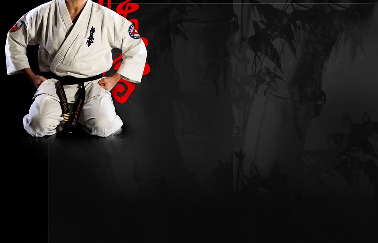 kyokoshin, 720P, karate, HD Wallpaper