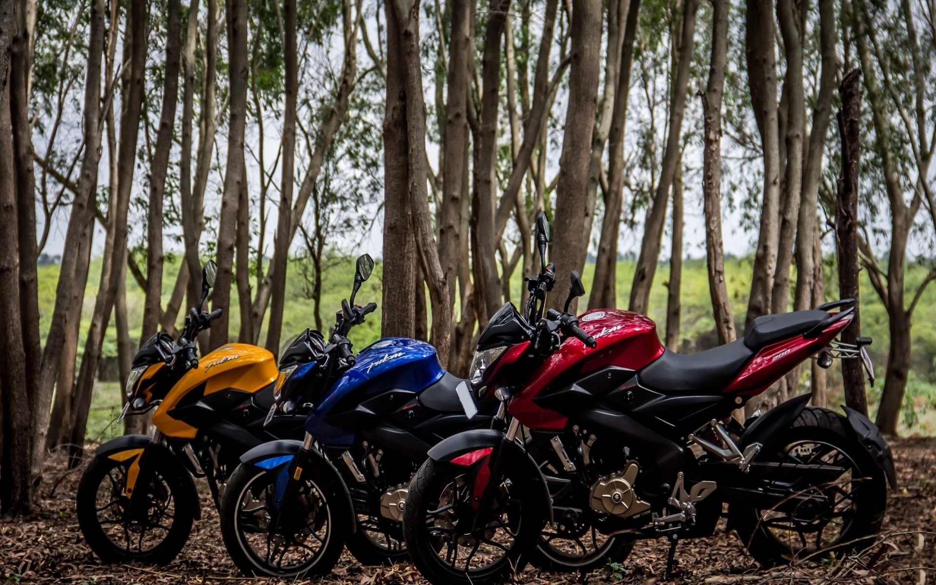 1920x1200, bajaj pulsar 200NS, motorcycles, bajaj pulsar, 1080P, HD Wallpaper