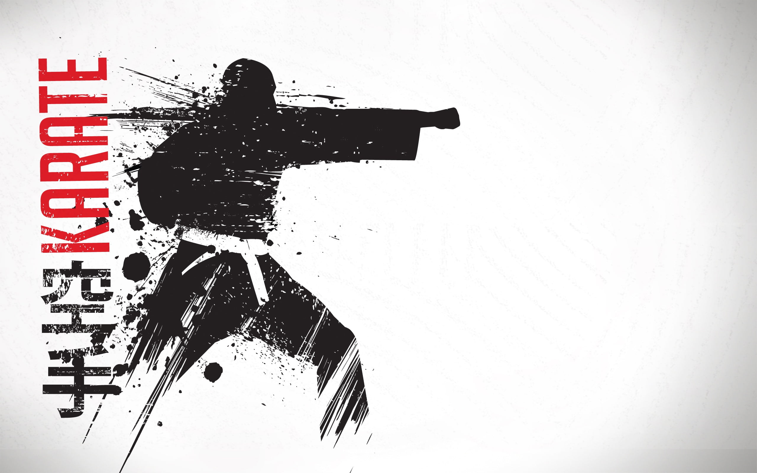 2K, kimono, Karate, warrior, belt, background, combat, blow, male, HD Wallpaper
