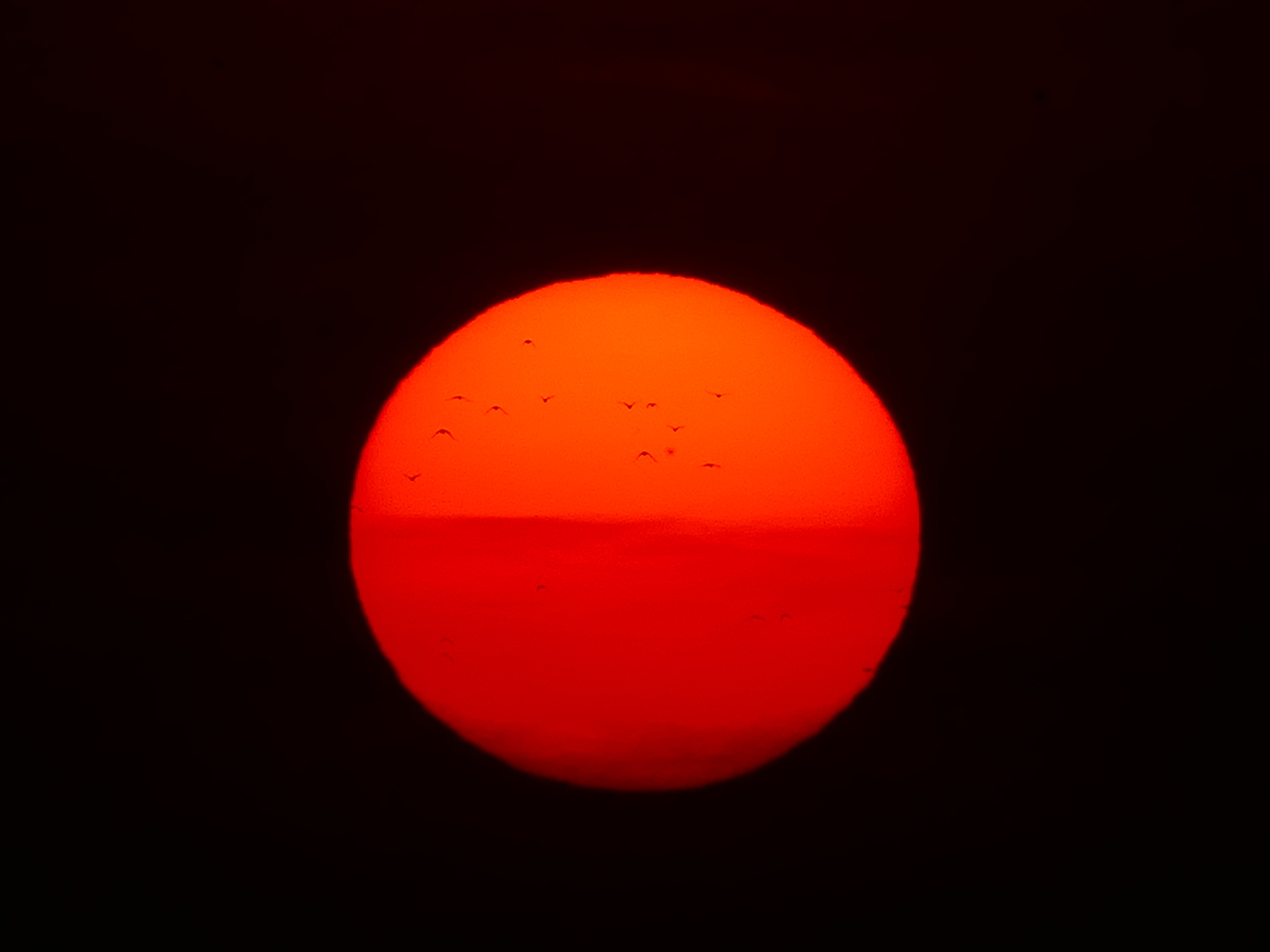 birds, space exploration, outdoors, eclipse, shape, circle, moon, nature, untitled, night, sunset, sun, natural phenomenon, evening, no people, red, fireball, HD Wallpaper