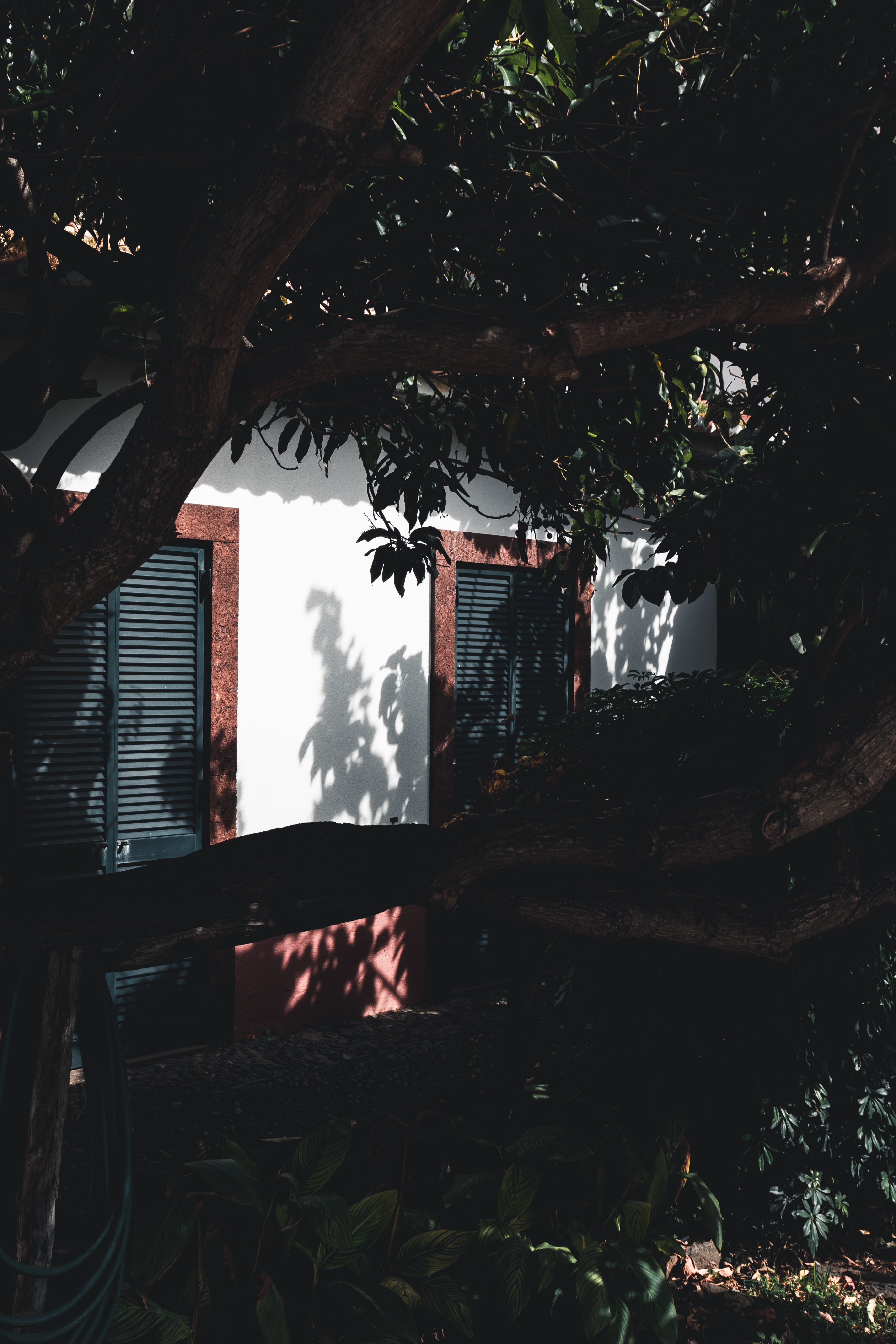 built structure, linen, water, home decor, 5K, building, house, nature, summer, plant, tree, day, wall, architecture, curtain, sunlight, low angle view, Phone HD Wallpaper