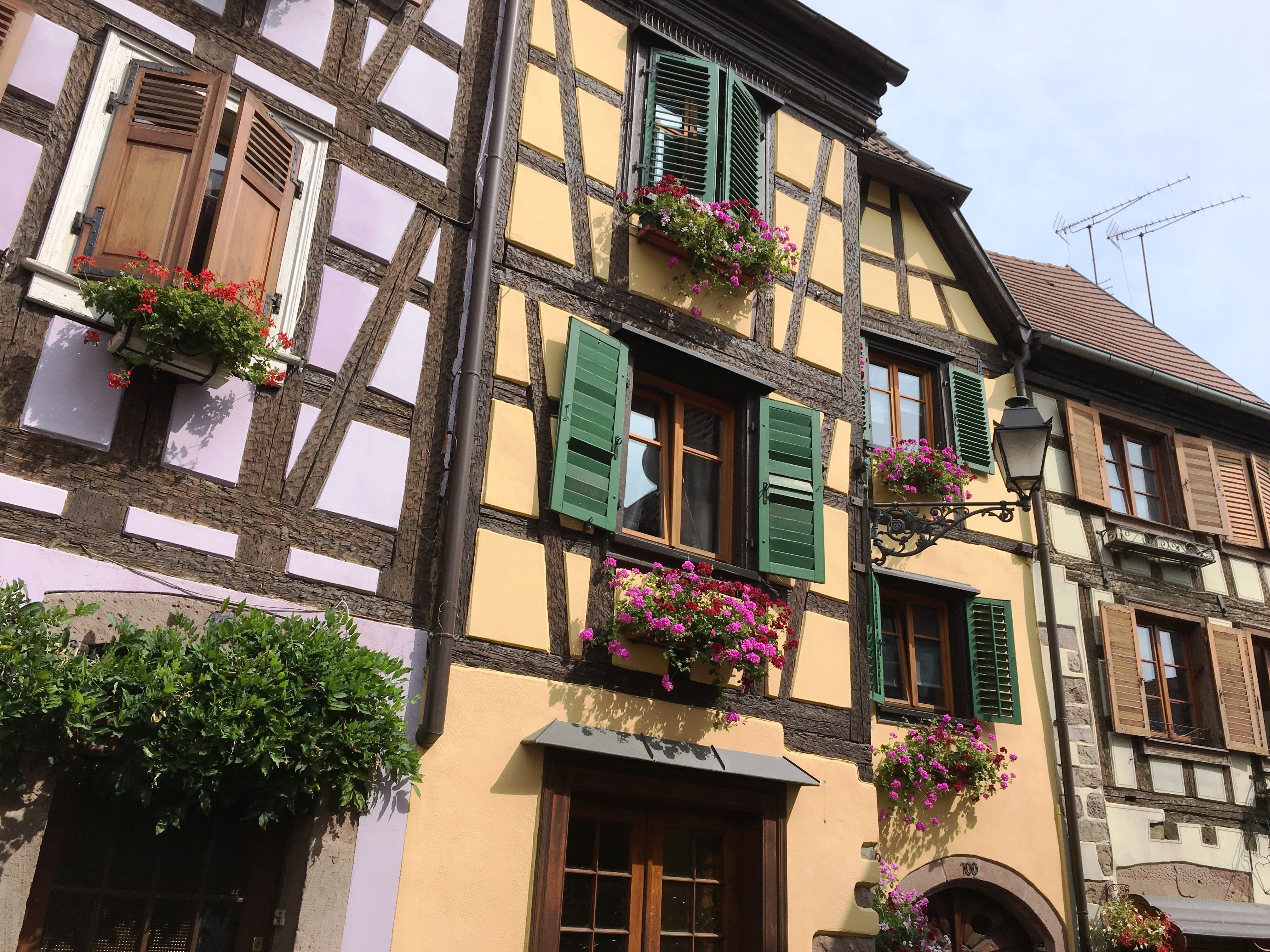 curtain, plant, town, walkway, built structure, balcony, ribeauvillé, residential district, building exterior, row house, flowering plant, path, shutter, HD Wallpaper