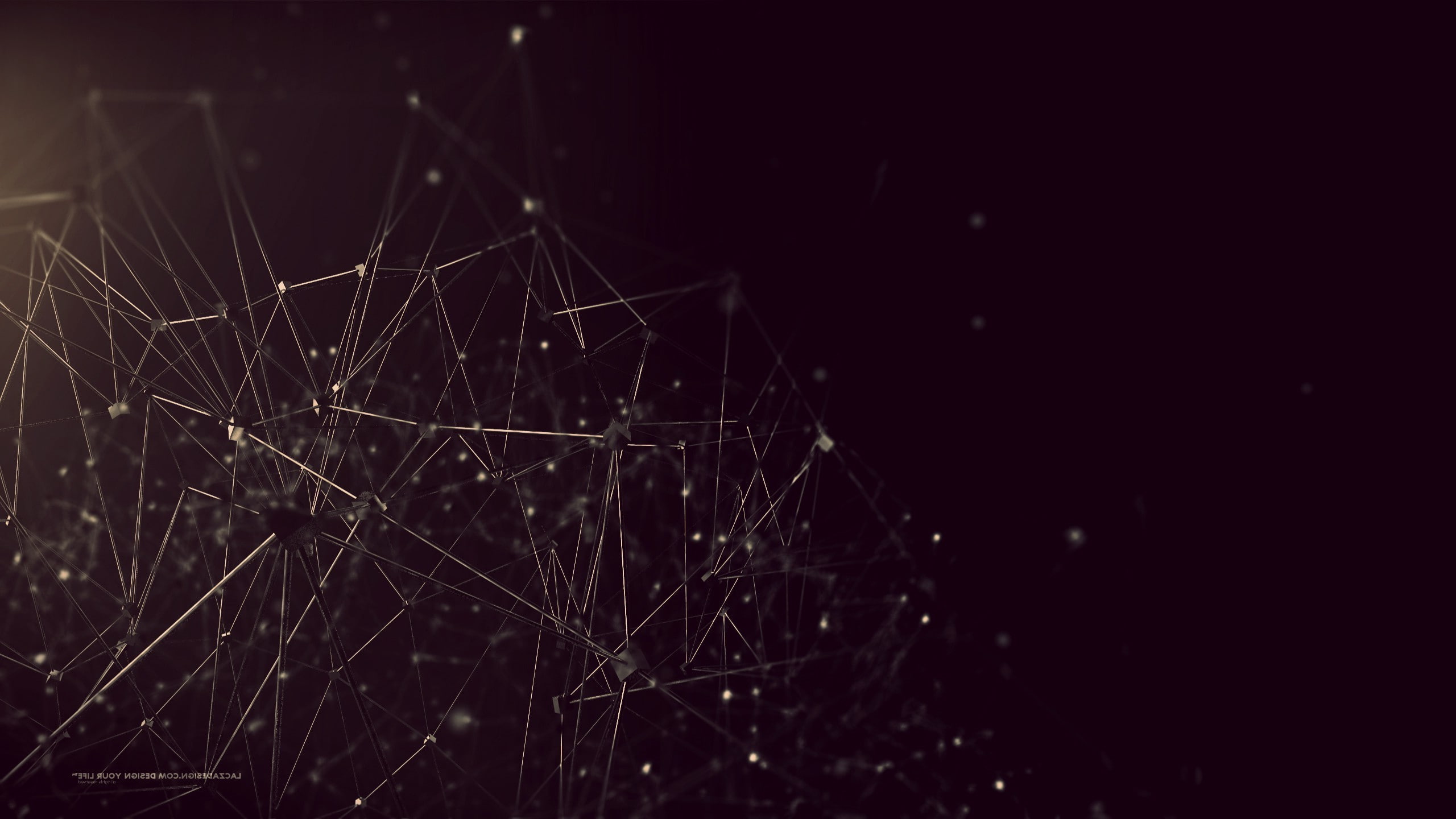 dark, beauty in nature, pattern, complexity, no people, copy space, spider web, 2K, focus on foreground, fragility, nature, dew, wet, plant, tranquility, HD Wallpaper