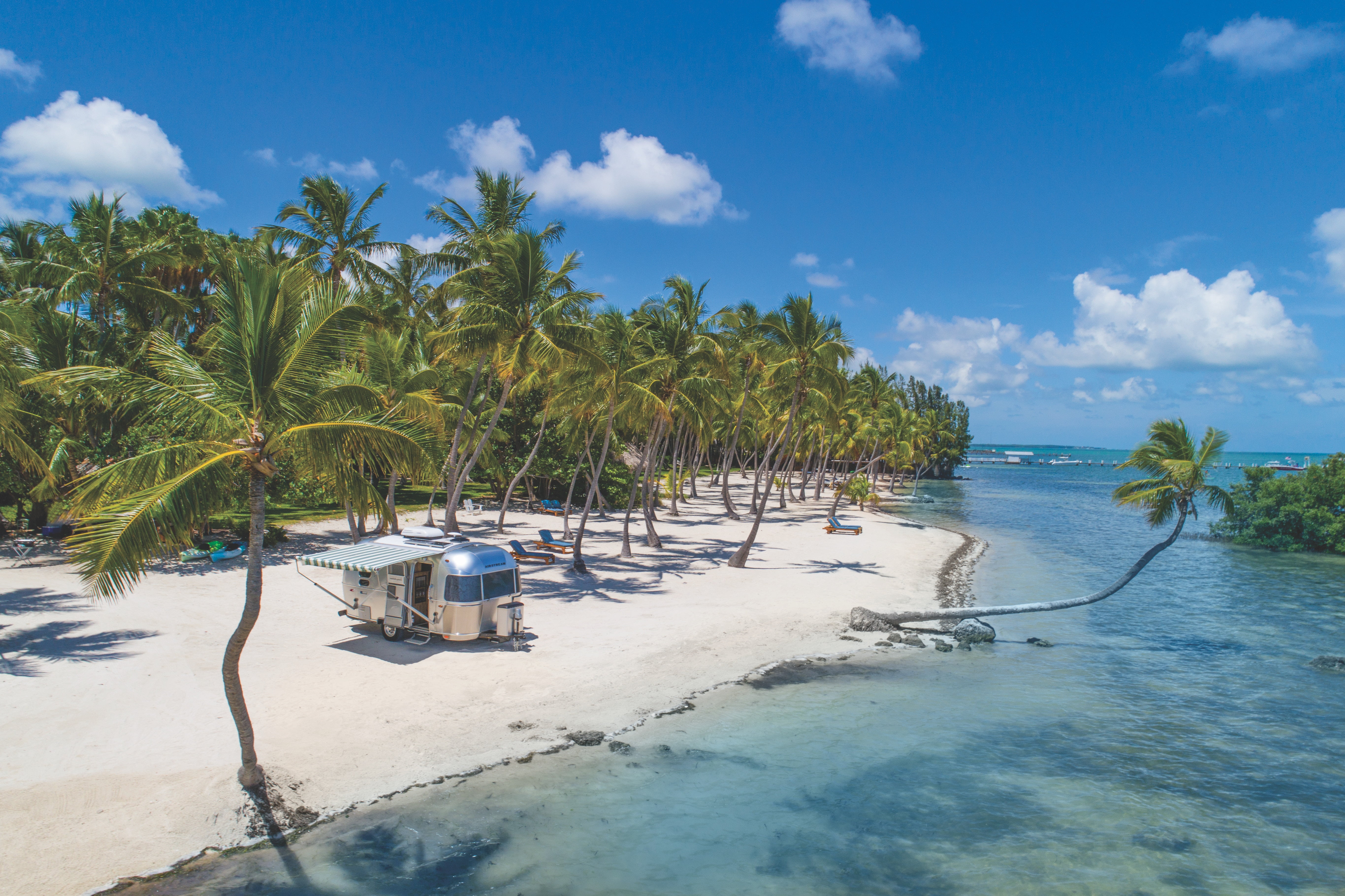 nature, trees, land, tranquility, beach, sky, water, sunlight, growth, outdoors, palm, scenics - nature, sea, islamorada, day, palms, palm tree, tree, tranquil scene, HD Wallpaper