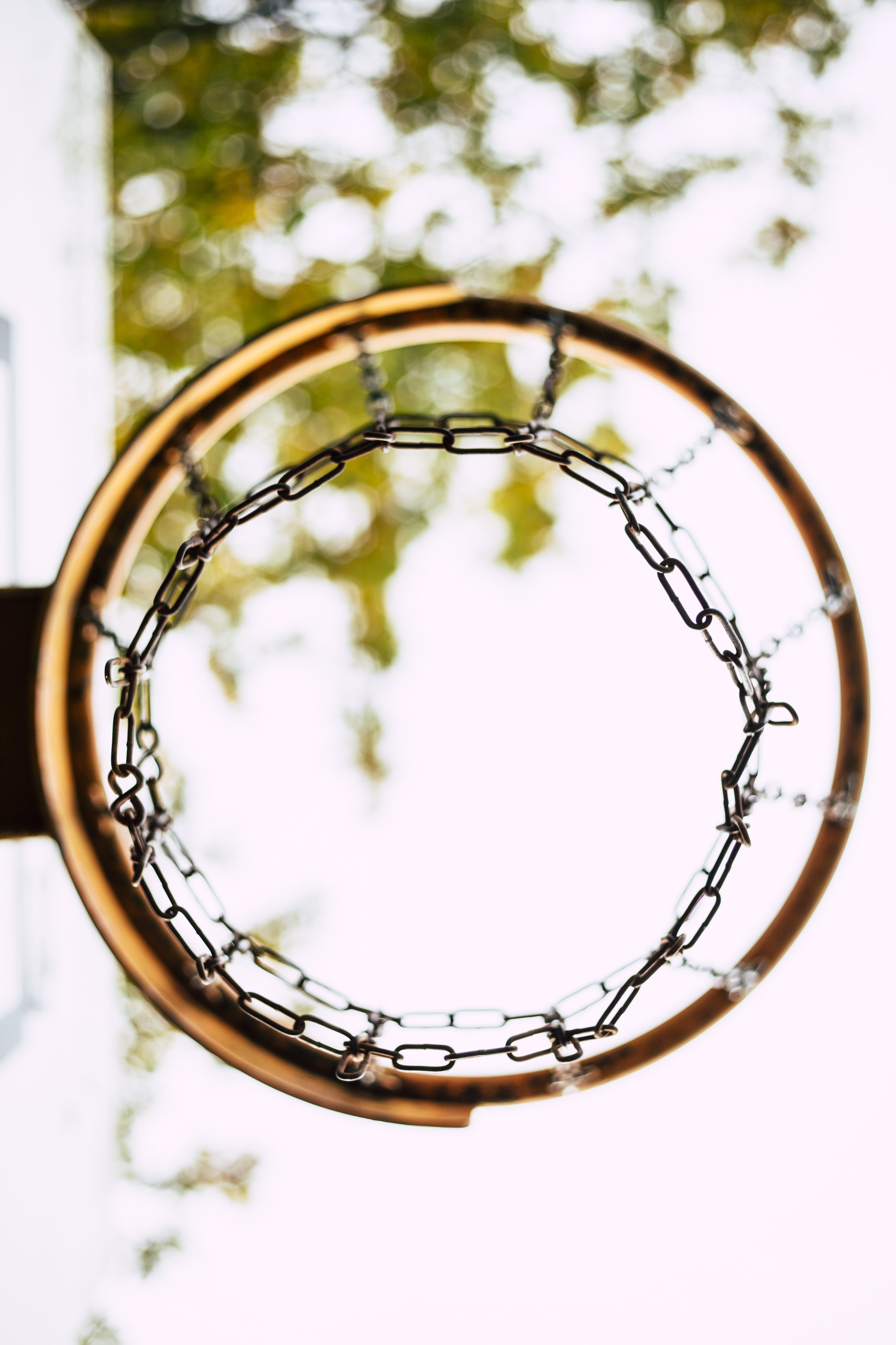 low angle view, view, geometric shape, hoop, still life, shape, basket, sphere, 5K, chain, focus on foreground, angle, nature, low, jewelry, plant, day, Phone HD Wallpaper