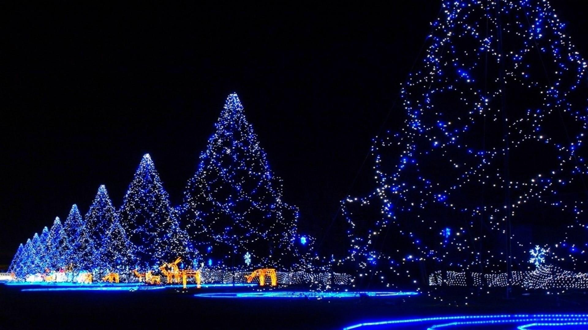 celebration, xmas, christmas, 1080P, lights, christmas lights, HD Wallpaper