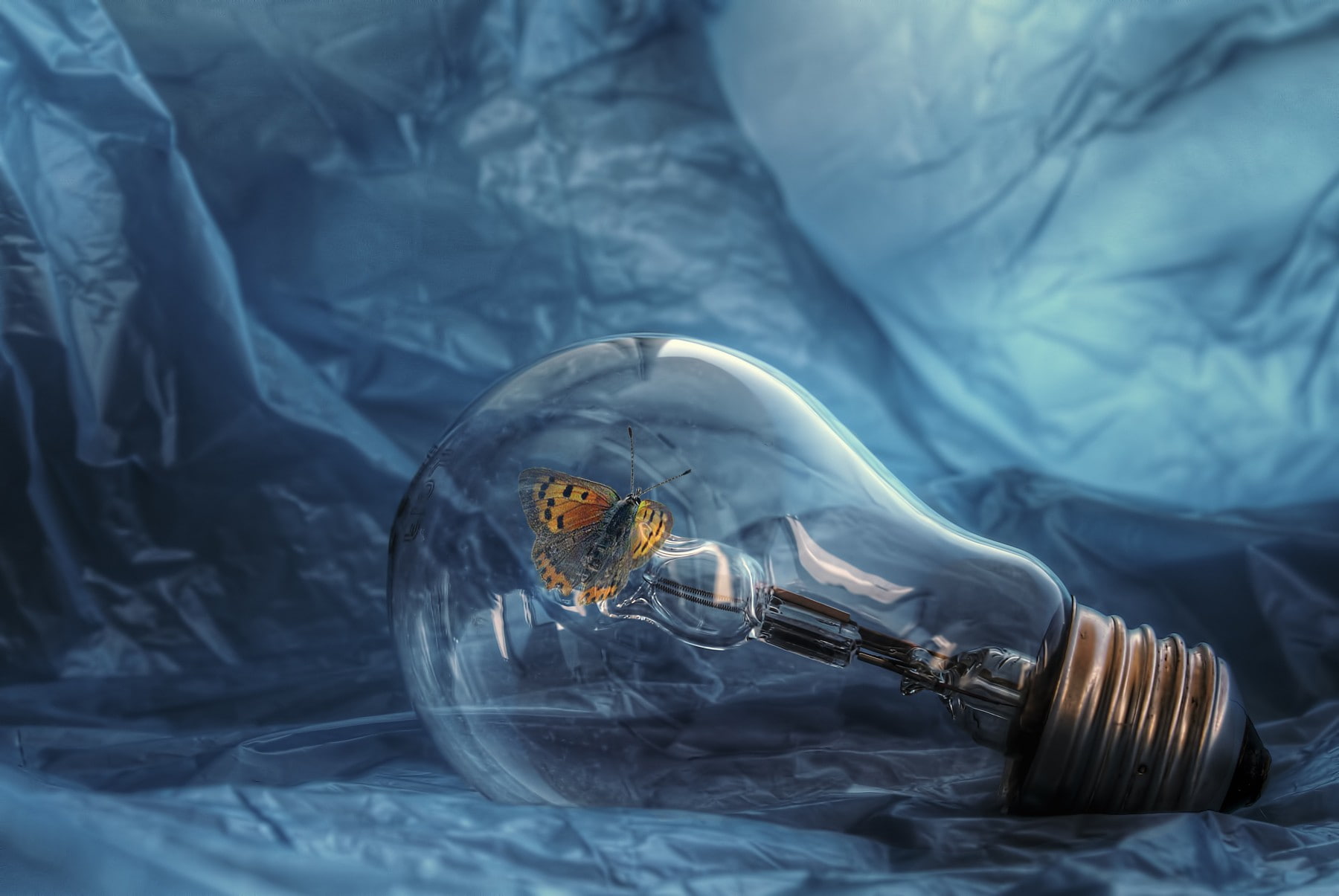 transparent, digital composite, 720P, plastic, plastic bag, nature, focus on foreground, indoors, hand, one person, day, HDR, human body part, glass - material, HD Wallpaper