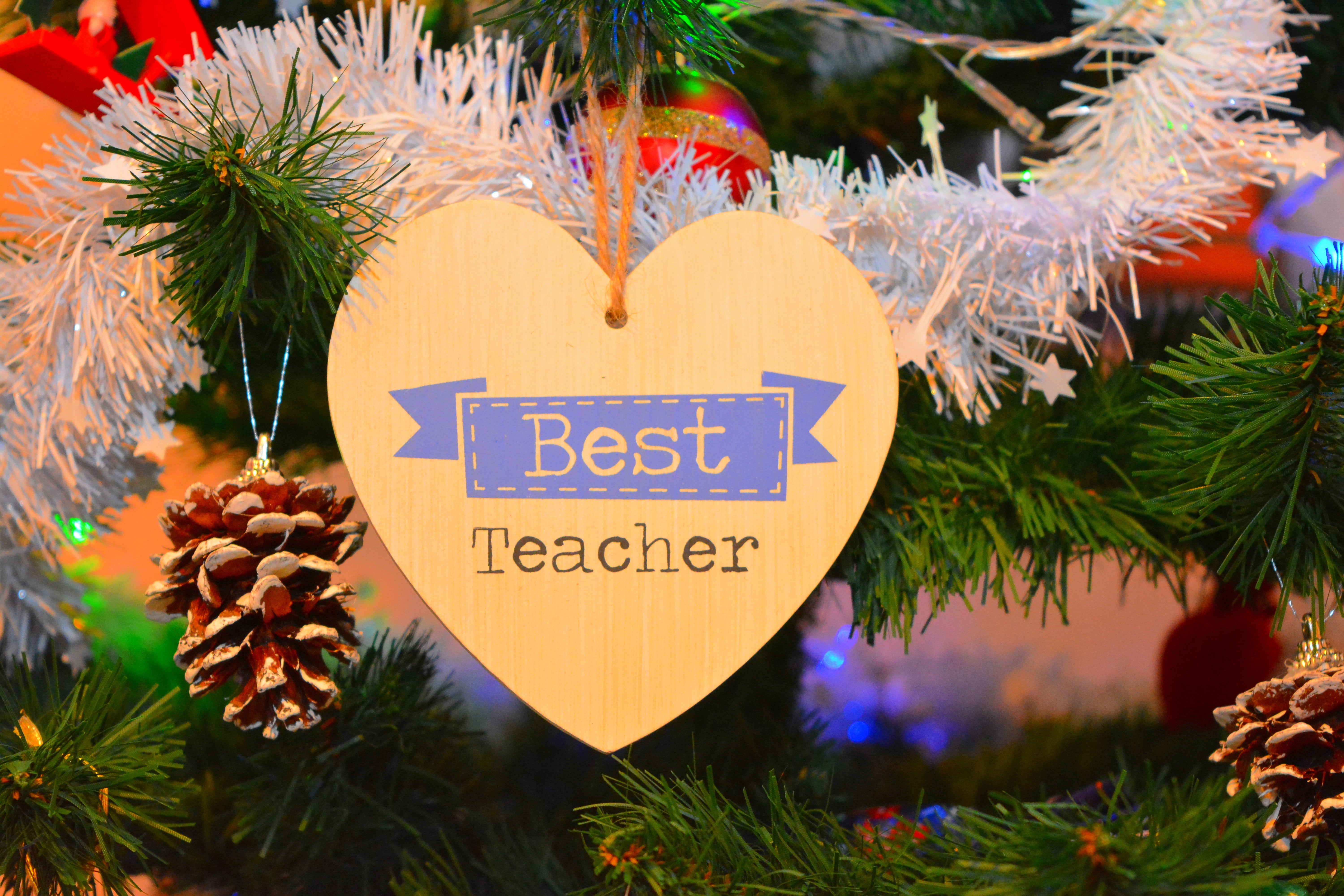 best teacher, christmas decoration, message, text, christmas tree, christmas ornament, ornament, communication, close-up, teacher, christmas, event, holiday, HD Wallpaper