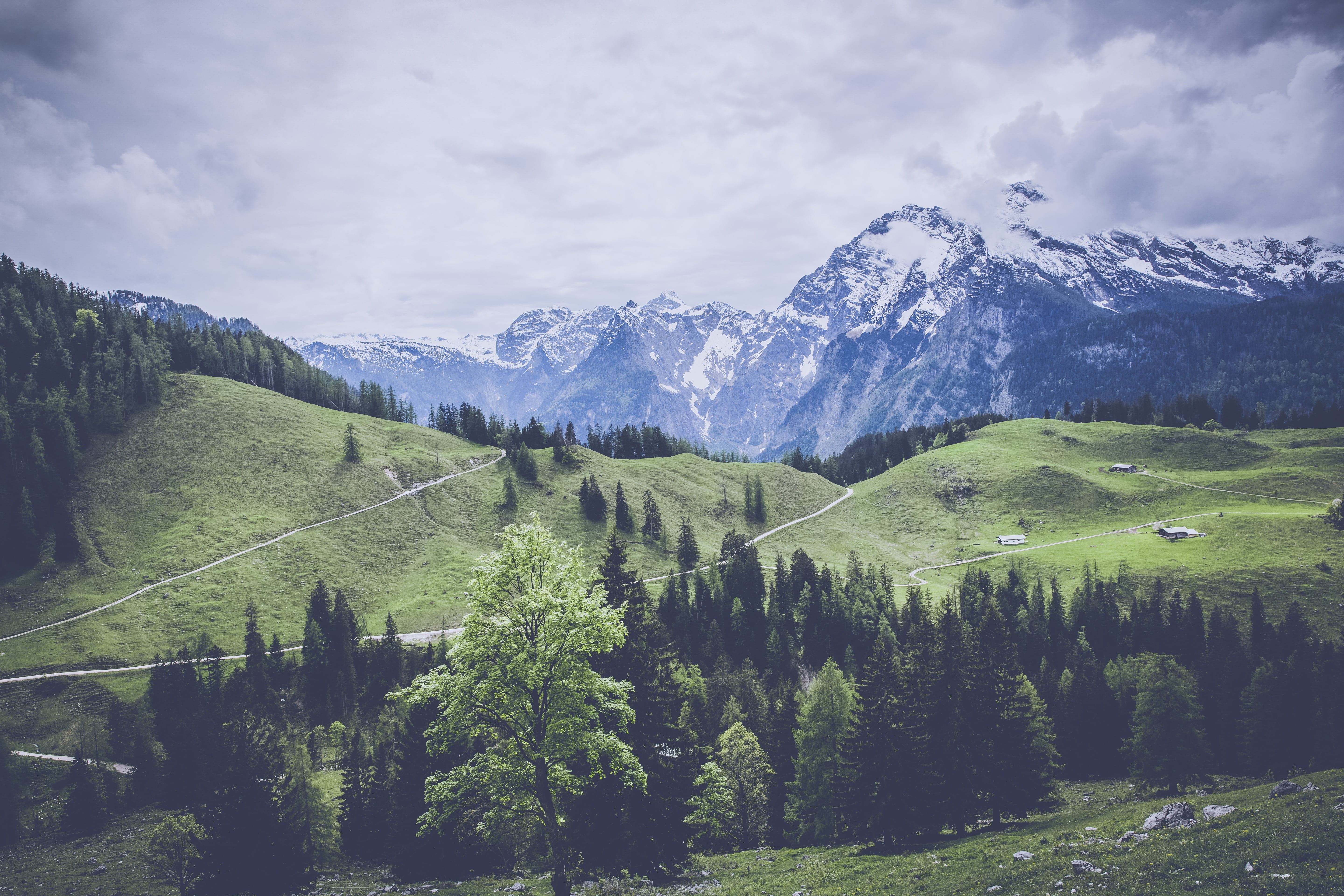 beauty in nature, growth, outdoors, pine, watzmann, hiking, mountaineering, cloud - sky, glacier, coniferous tree, mountain pass, scenics, idyllic, no people, HD Wallpaper