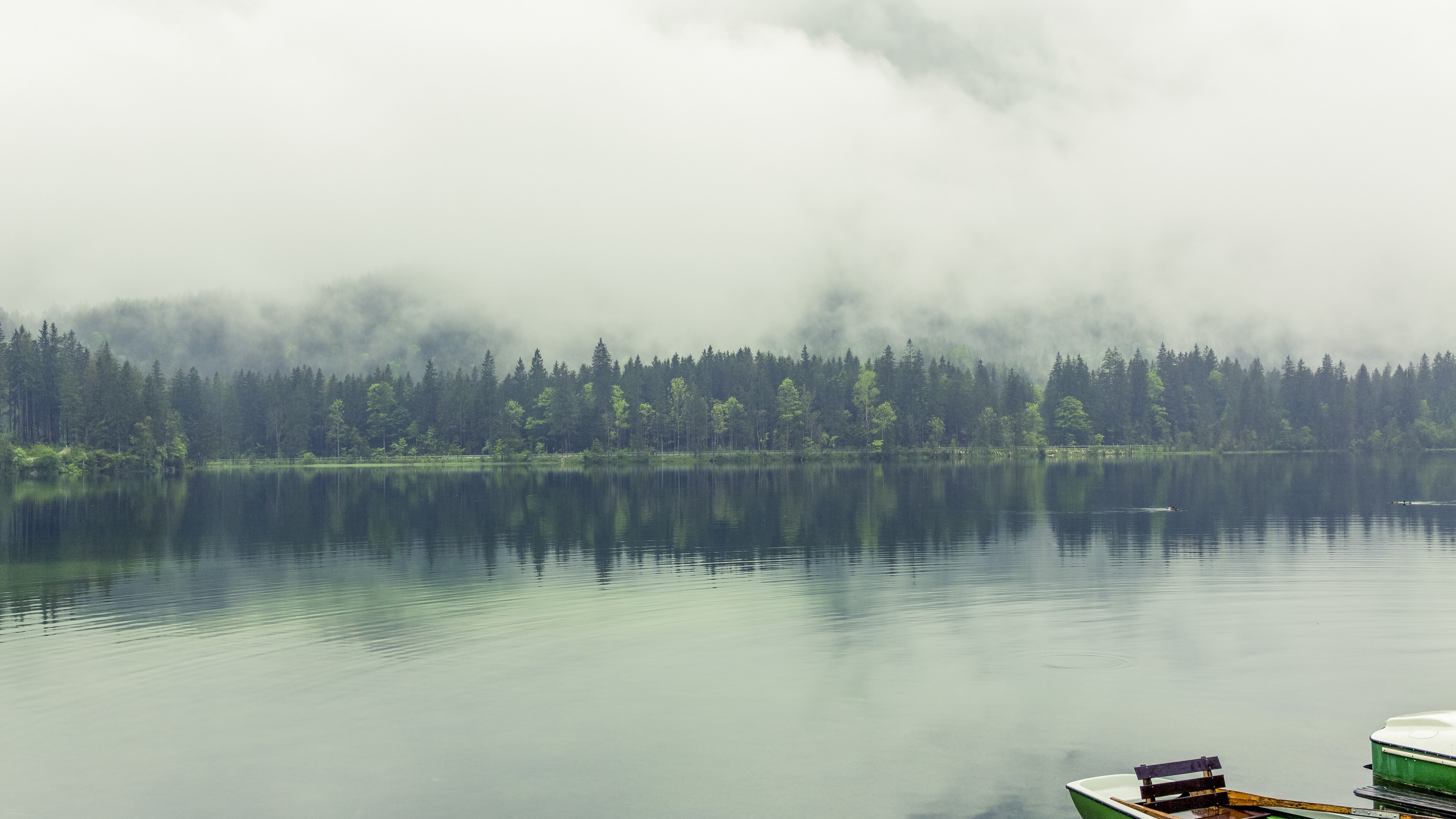 pines, Berchtesgadener Land, fog, 5k, Bavaria, 8k, Germany, lake, 5K, HD Wallpaper