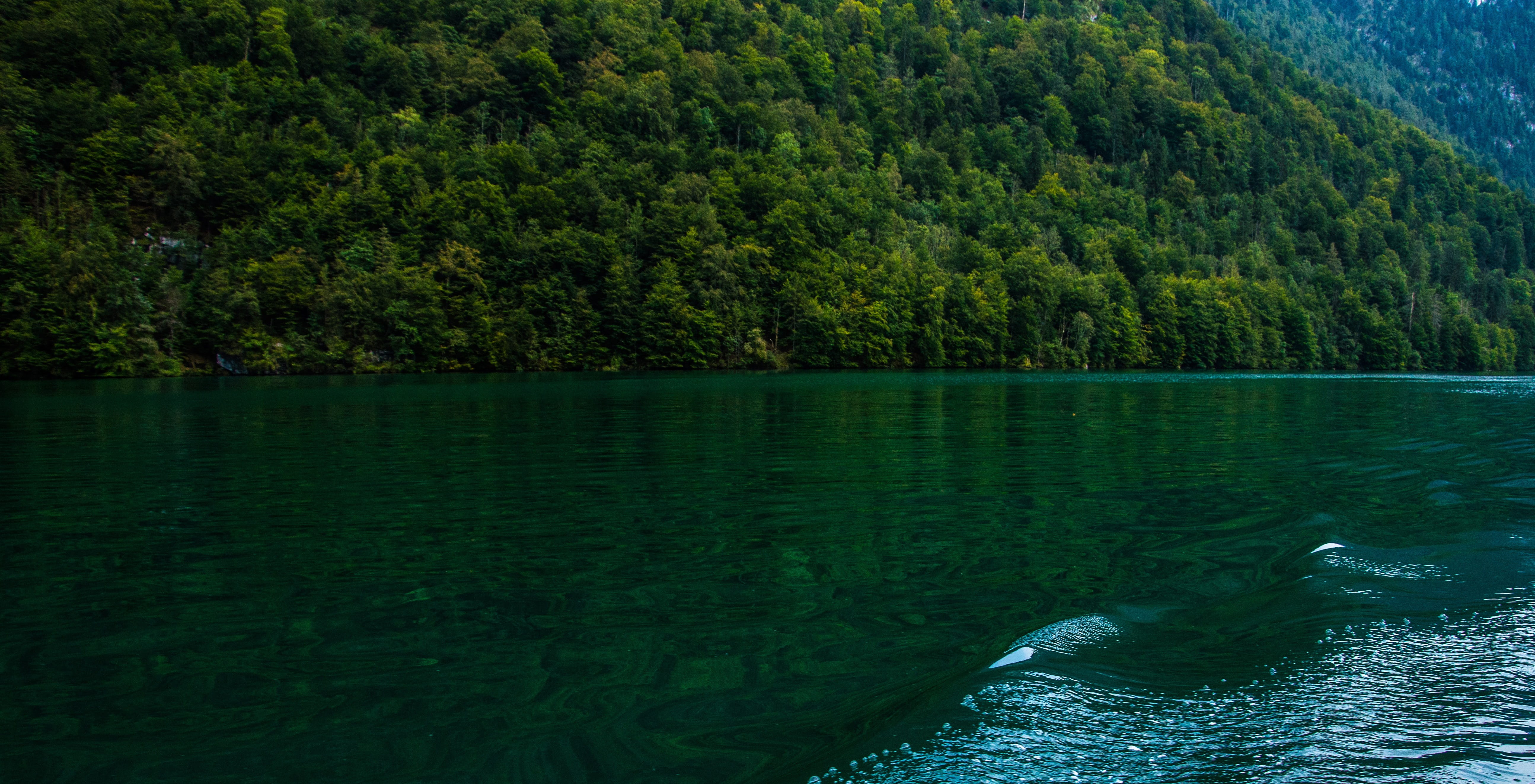 berchtesgadener land, no people, tree, königssee, alpine, non-urban scene, berchtesgaden, land, nature, landscape, 5K, plant, water, day, growth, silent, HD Wallpaper