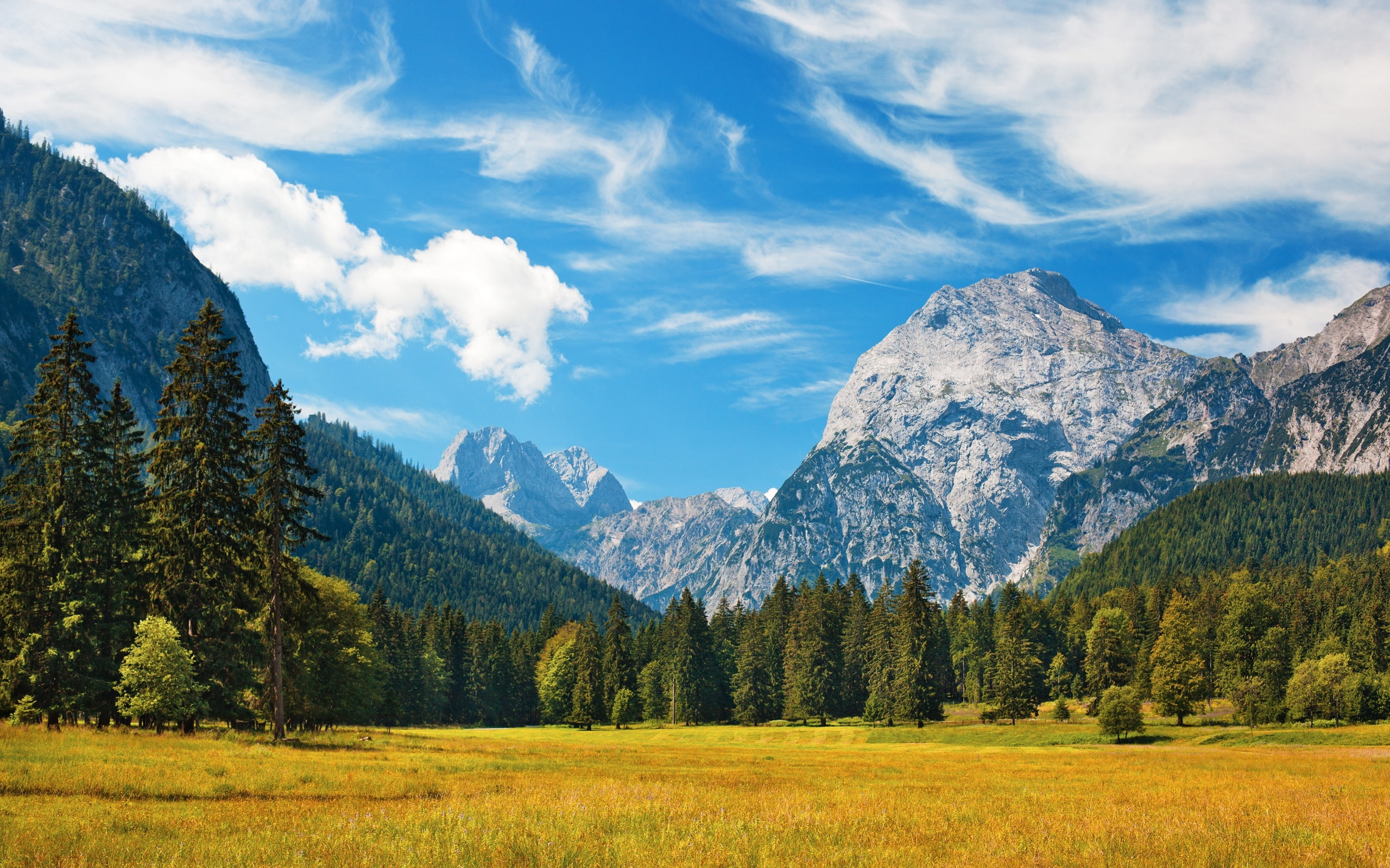 Fields, Alps, 2K, Grass, Trees, Clouds, Sky, Bavarian, HD Wallpaper
