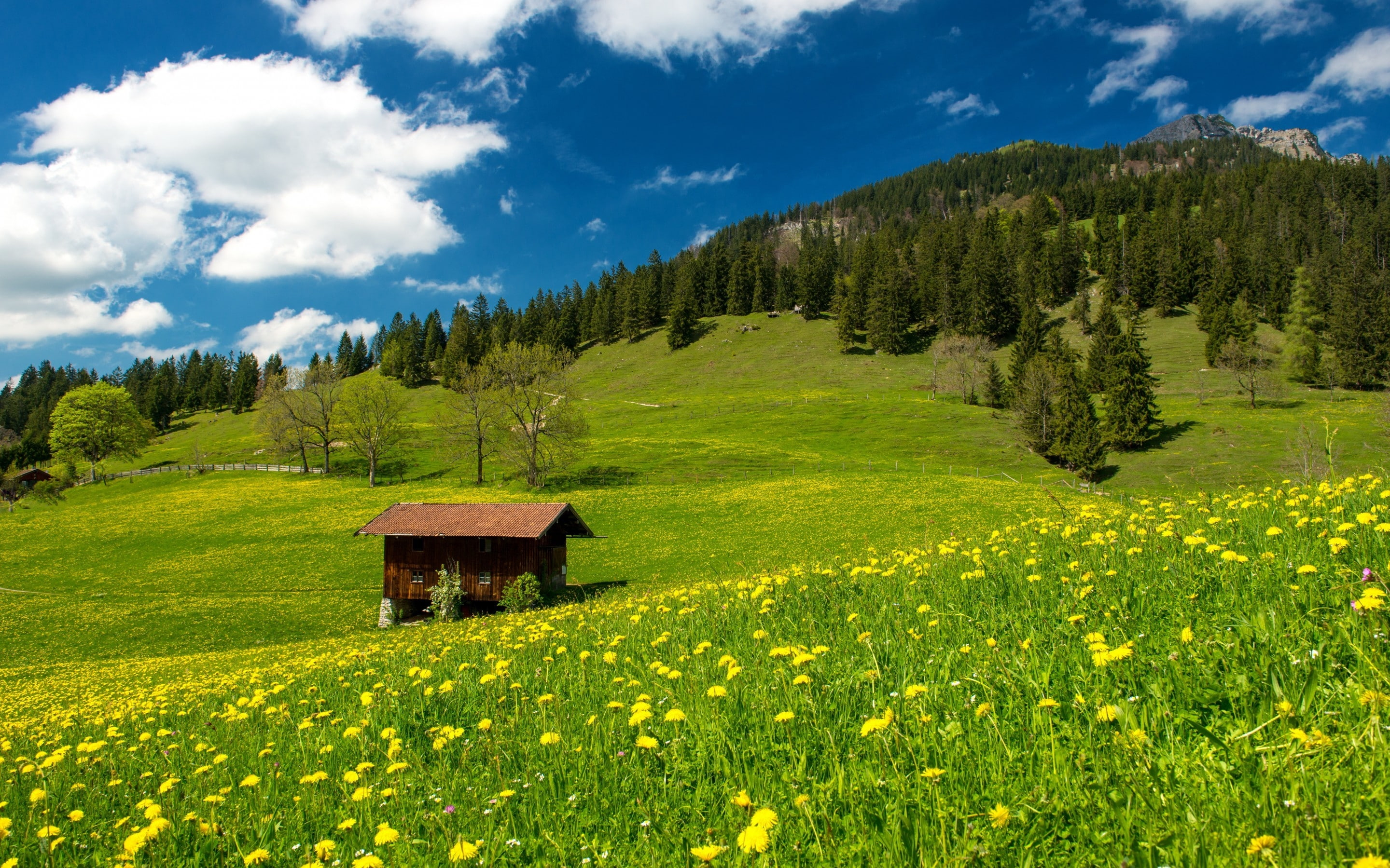 pasture, bavarian, mountains, landscape, 2K, hills, alp, HD Wallpaper