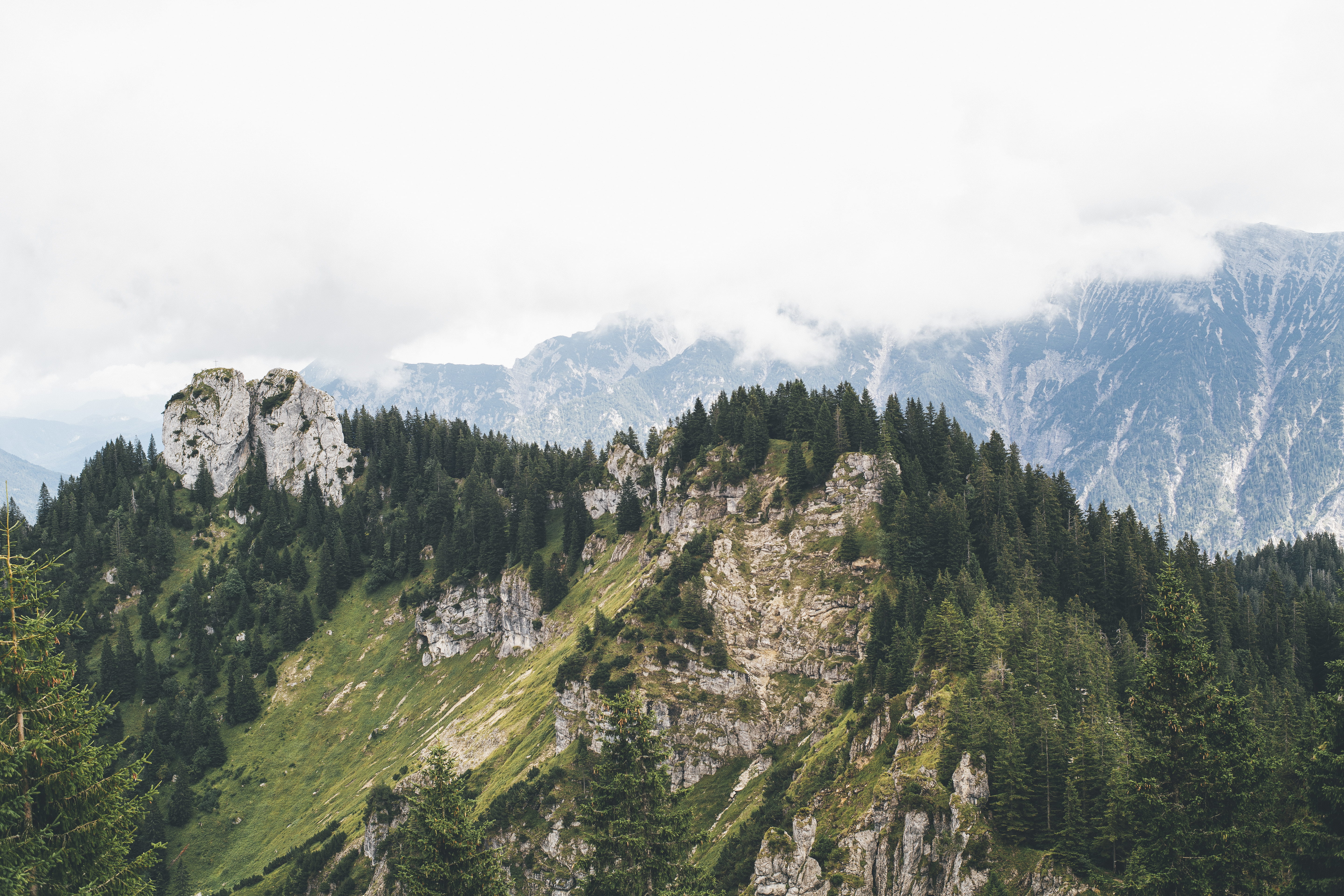 no people, beauty in nature, mountain range, fog, bavarium, forest, tree, coniferous tree, mountain, brown, growth, tranquil scene, panoramic view, sky, HD Wallpaper